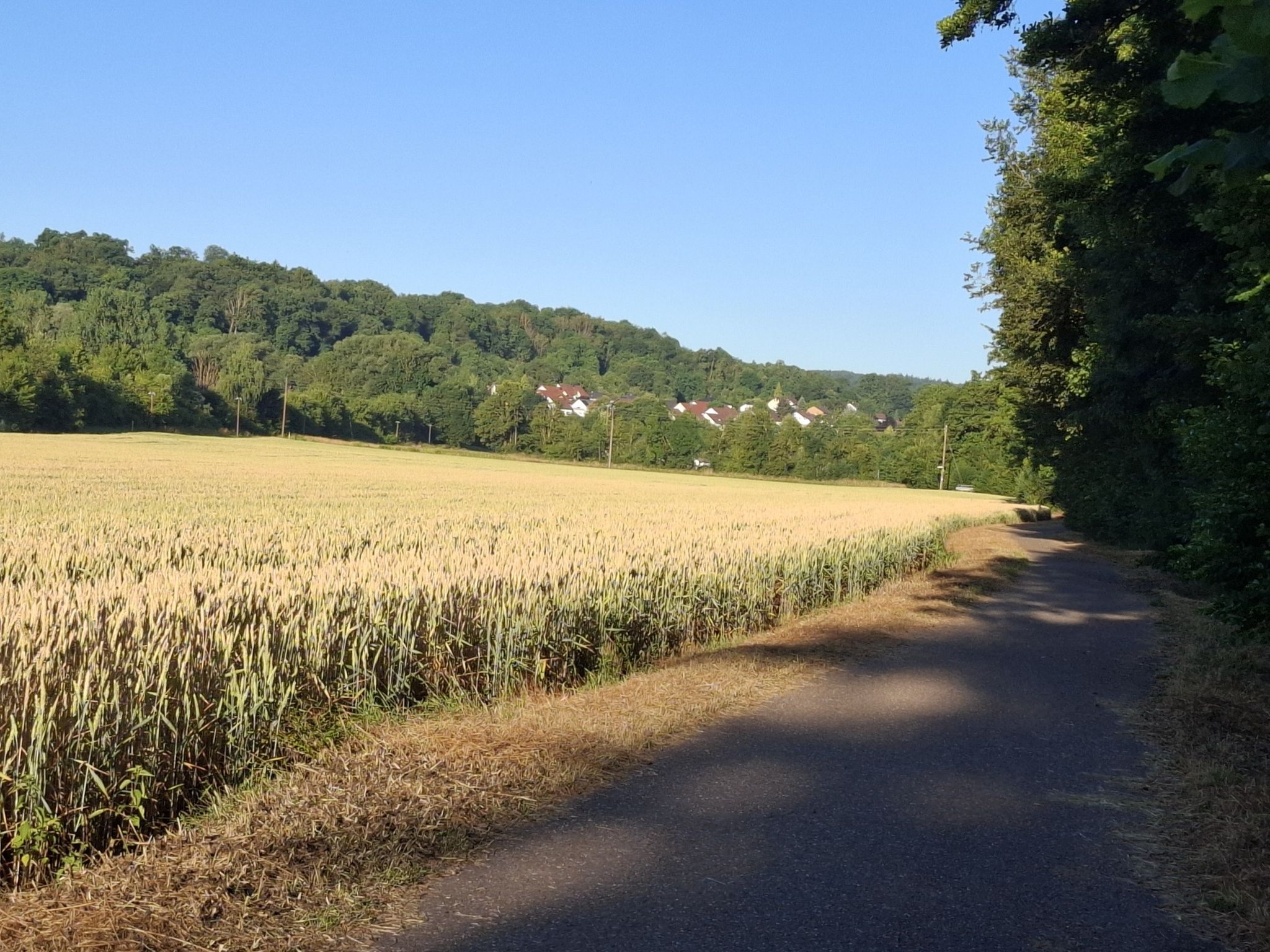 ... und wir kommen nach Zaberfeld