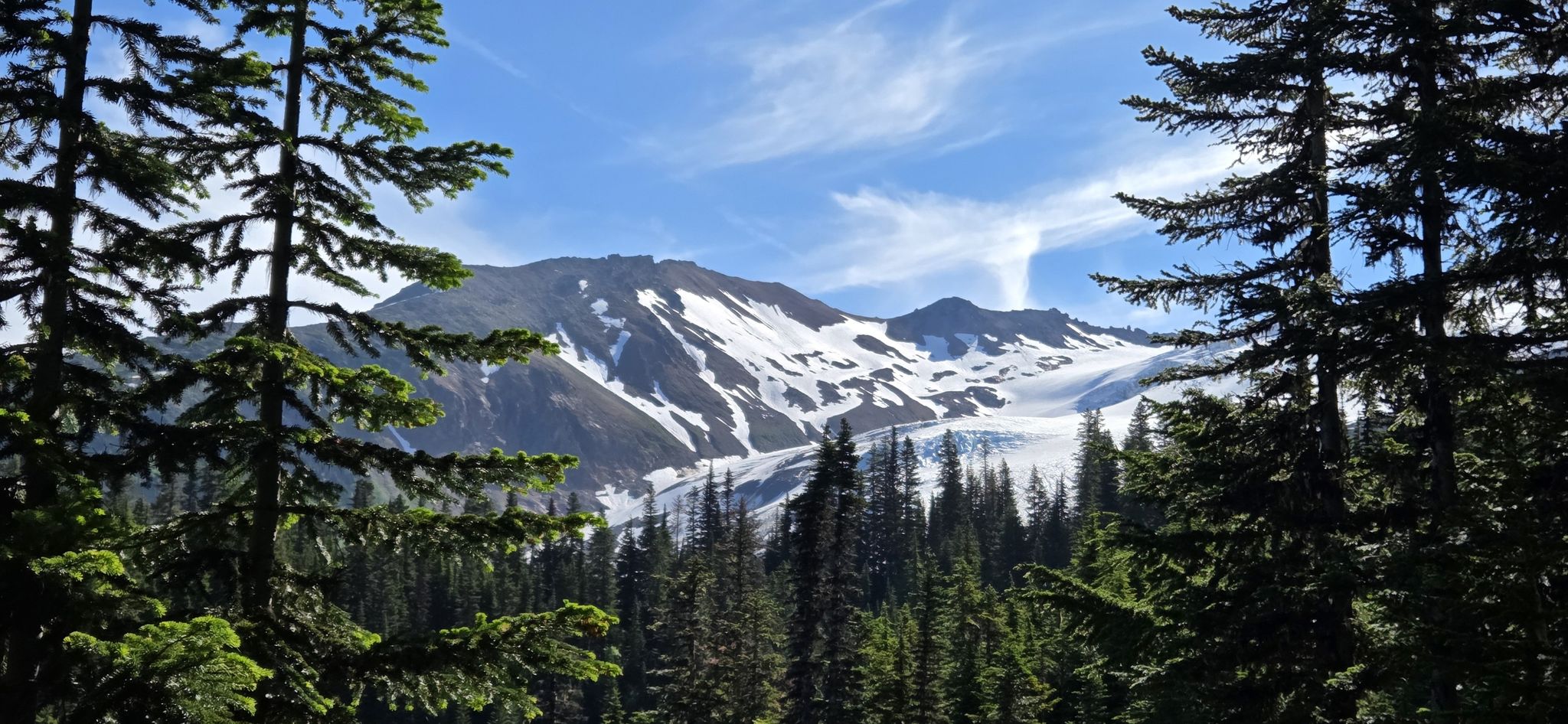Snow-capped mountain peak framed by evergreen trees under a bright sky. - Heliotrope Ridge Trail – Mt. Baker-Snoqualmie National Forest