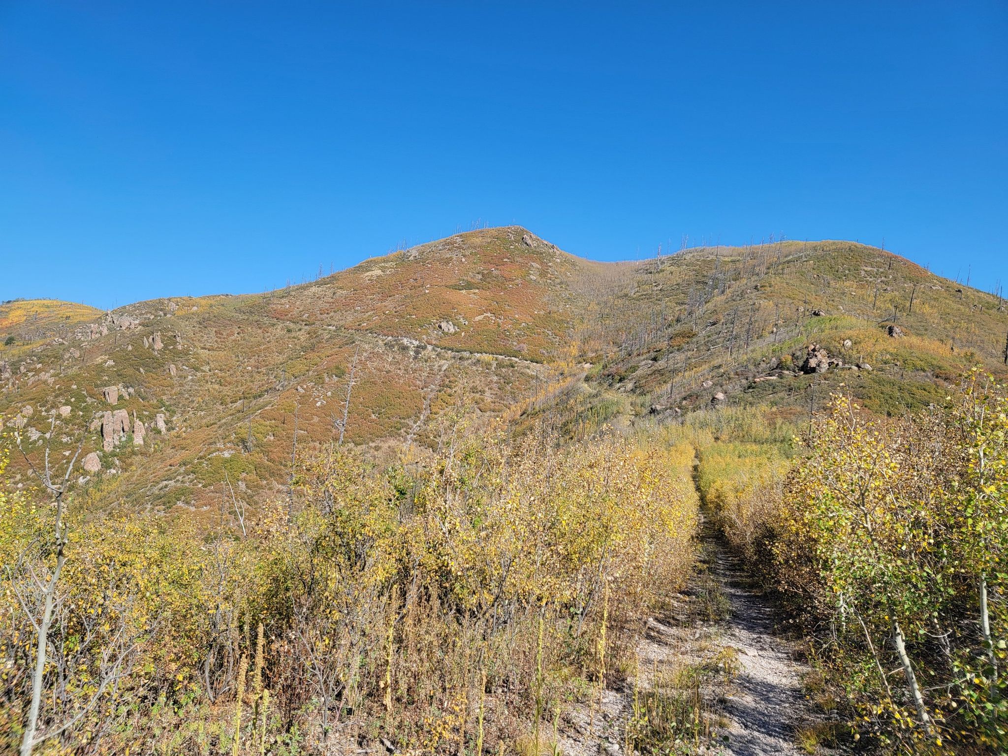 Sunny mountain slope with vibrant autumn foliage and a winding dirt path. - Guaje Canyon, Pipeline, and Quemazon Trail Loop