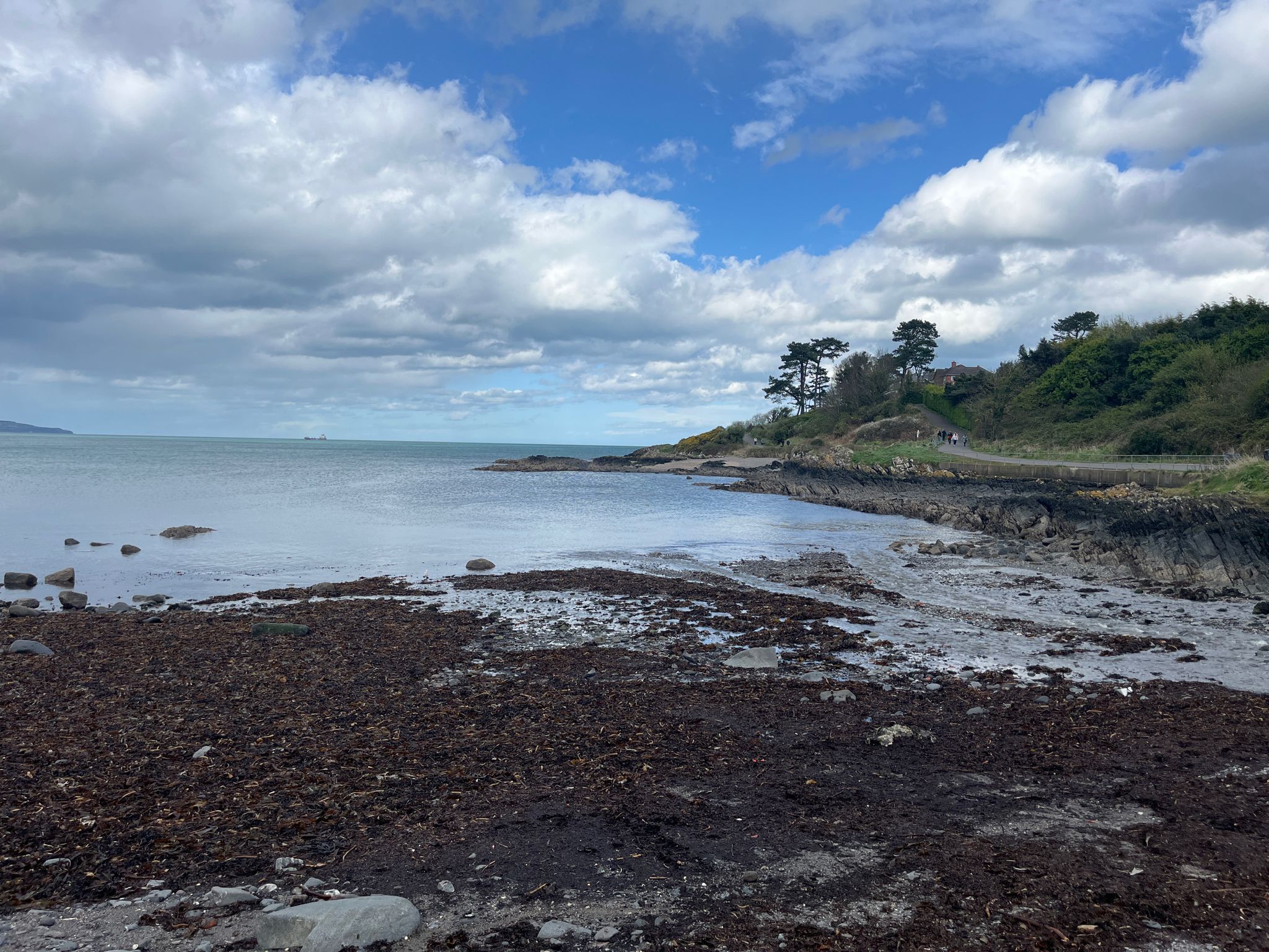 Smelt Mill Bay