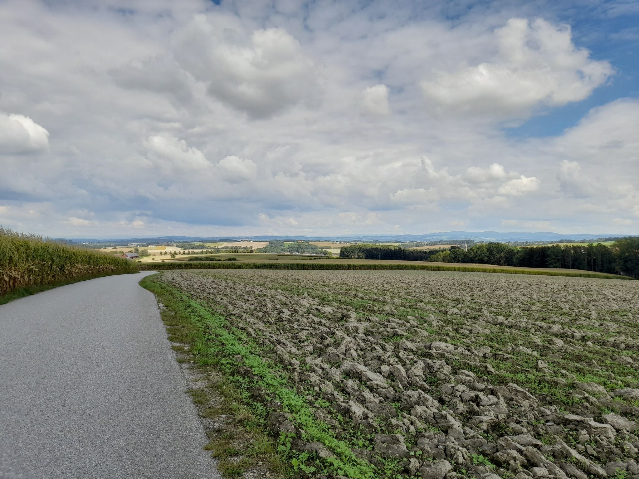 Radweg von Lambrechten nach Dietrichshofen