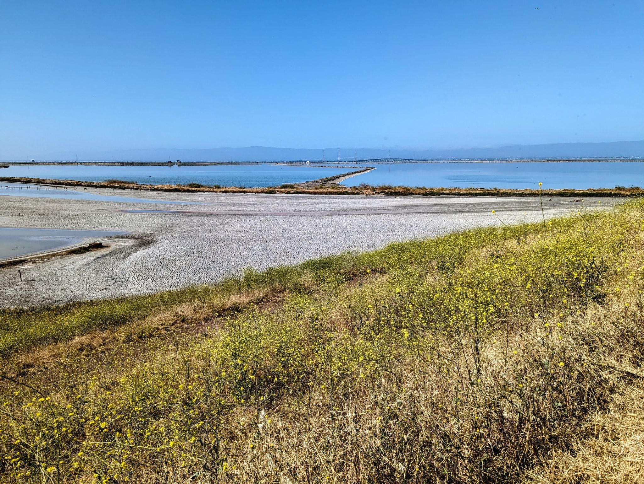 Grassy hillside overlooking a vast, calm body of water under clear sky. - Coyote Hills Regional Park – Coyote Hills Regional Park loop from Coyote Hills Regional Park