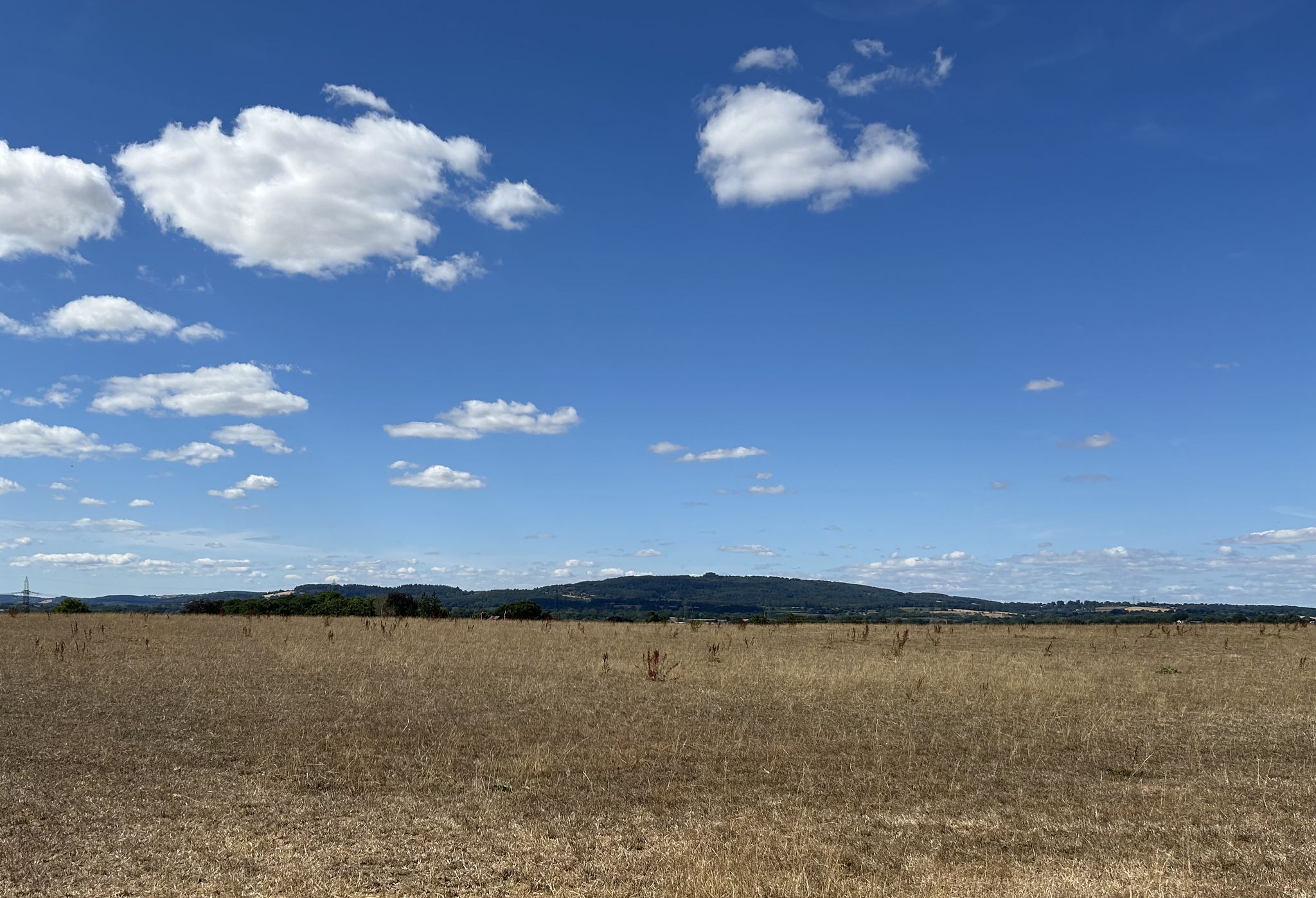 Distant May Hill