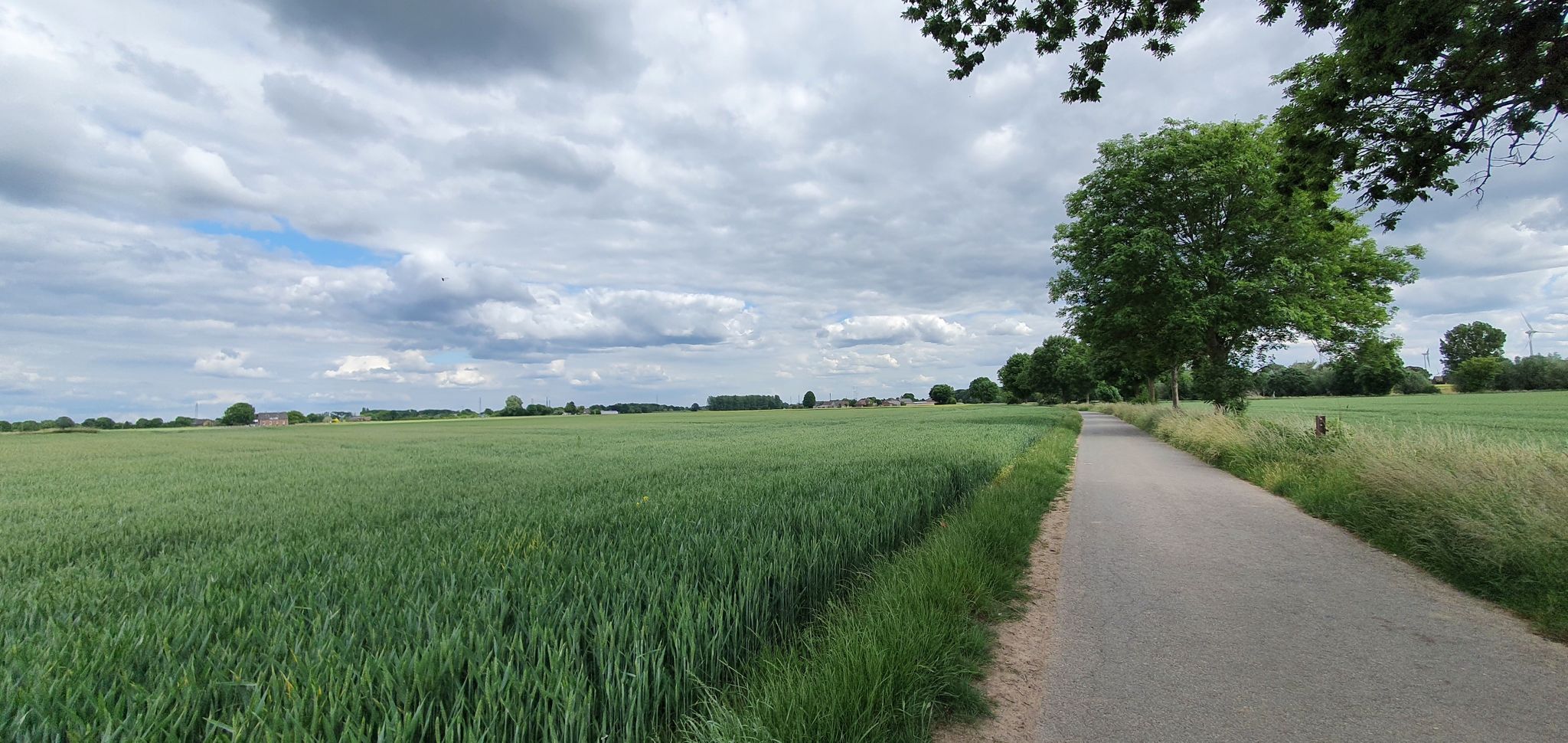 schöner Weg durch die Felder