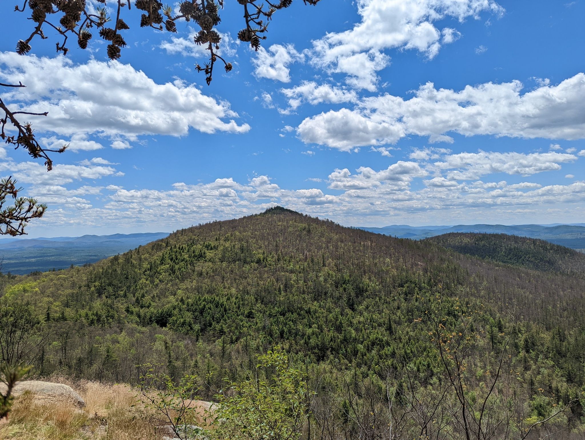 A forested mountain peak rises under a bright blue sky with white clouds. - Peaked Mountain Trail