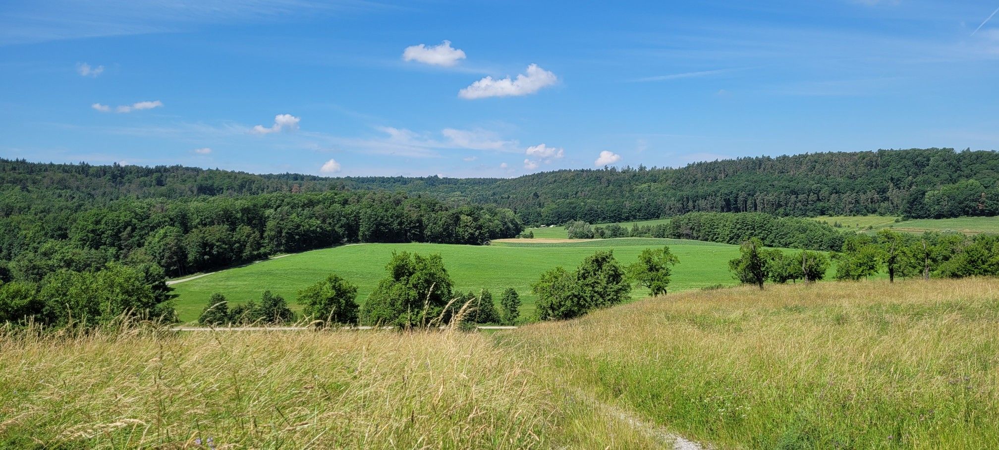 Ausblick