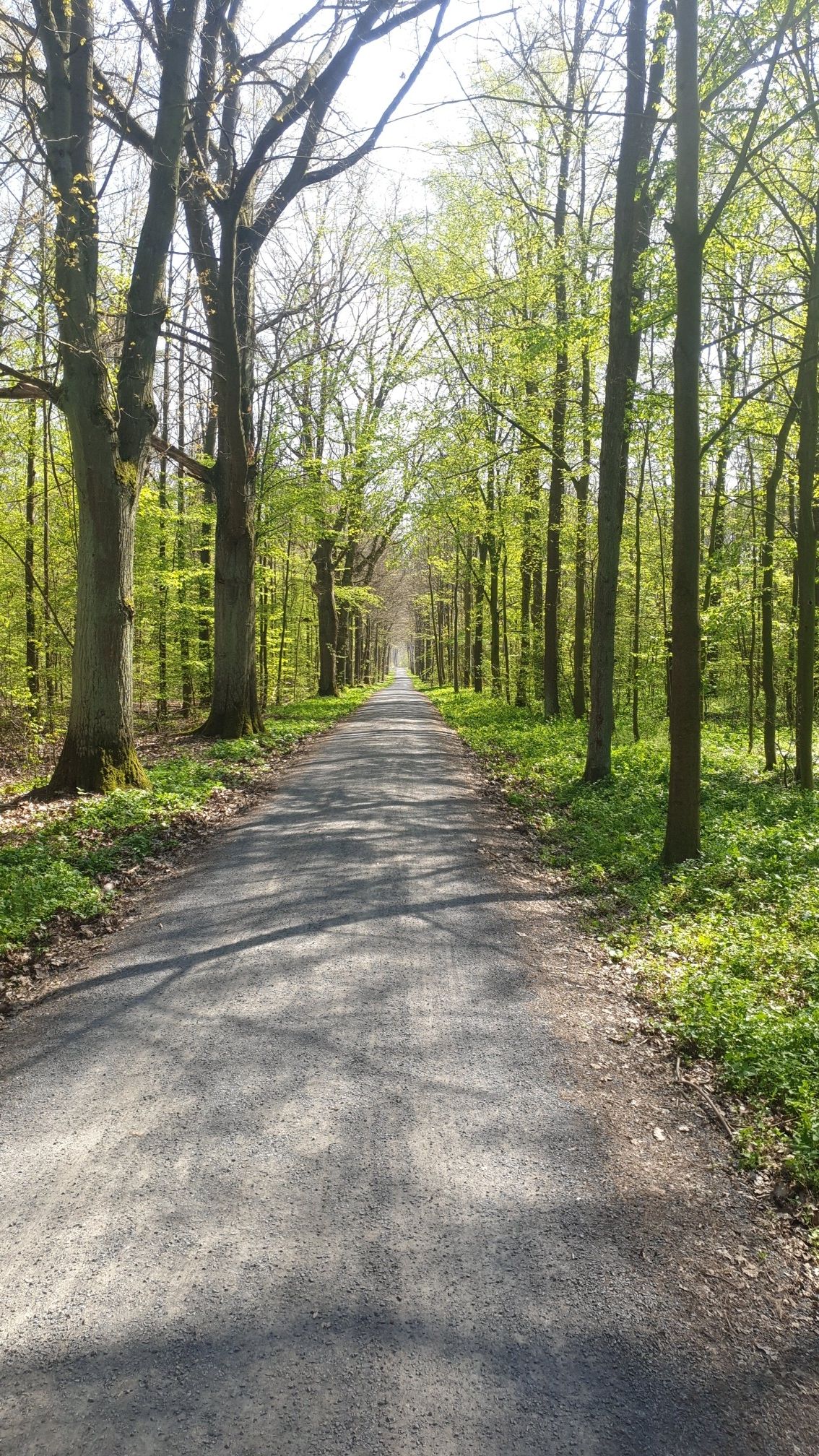 schöner Weg