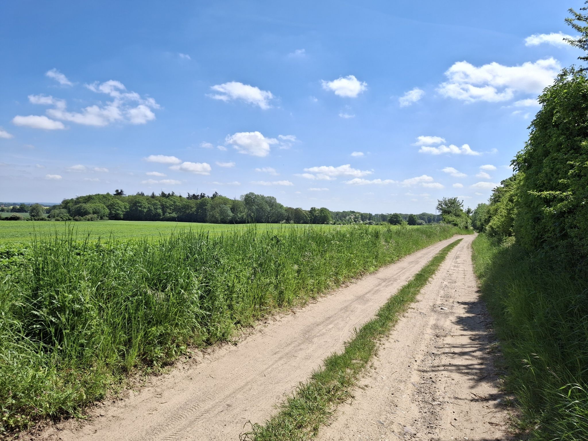 Feldweg Güterberg- Lübbenow 