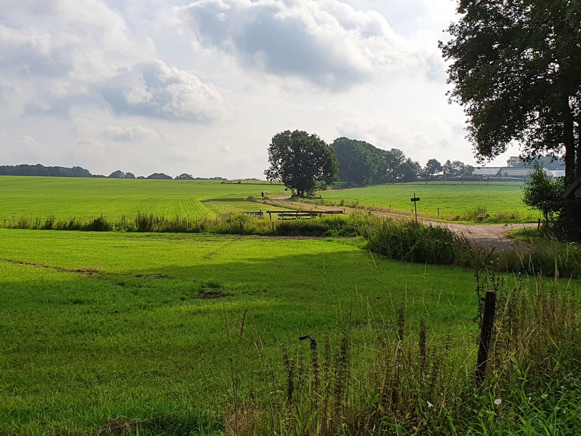 Hügellandschaft östlich von Ootmarsum