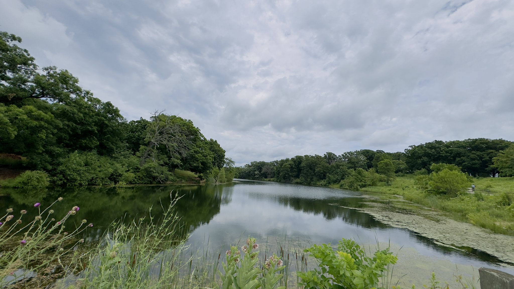 A wide river reflecting cloudy skies, flanked by dense green forests. - Millennium Trail