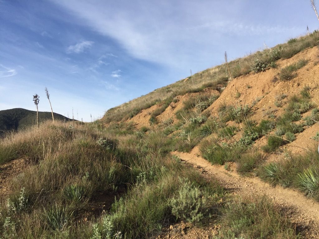 Steep, dry hillside with sparse green vegetation and a narrow dirt path. - Silverado Motorway Trail