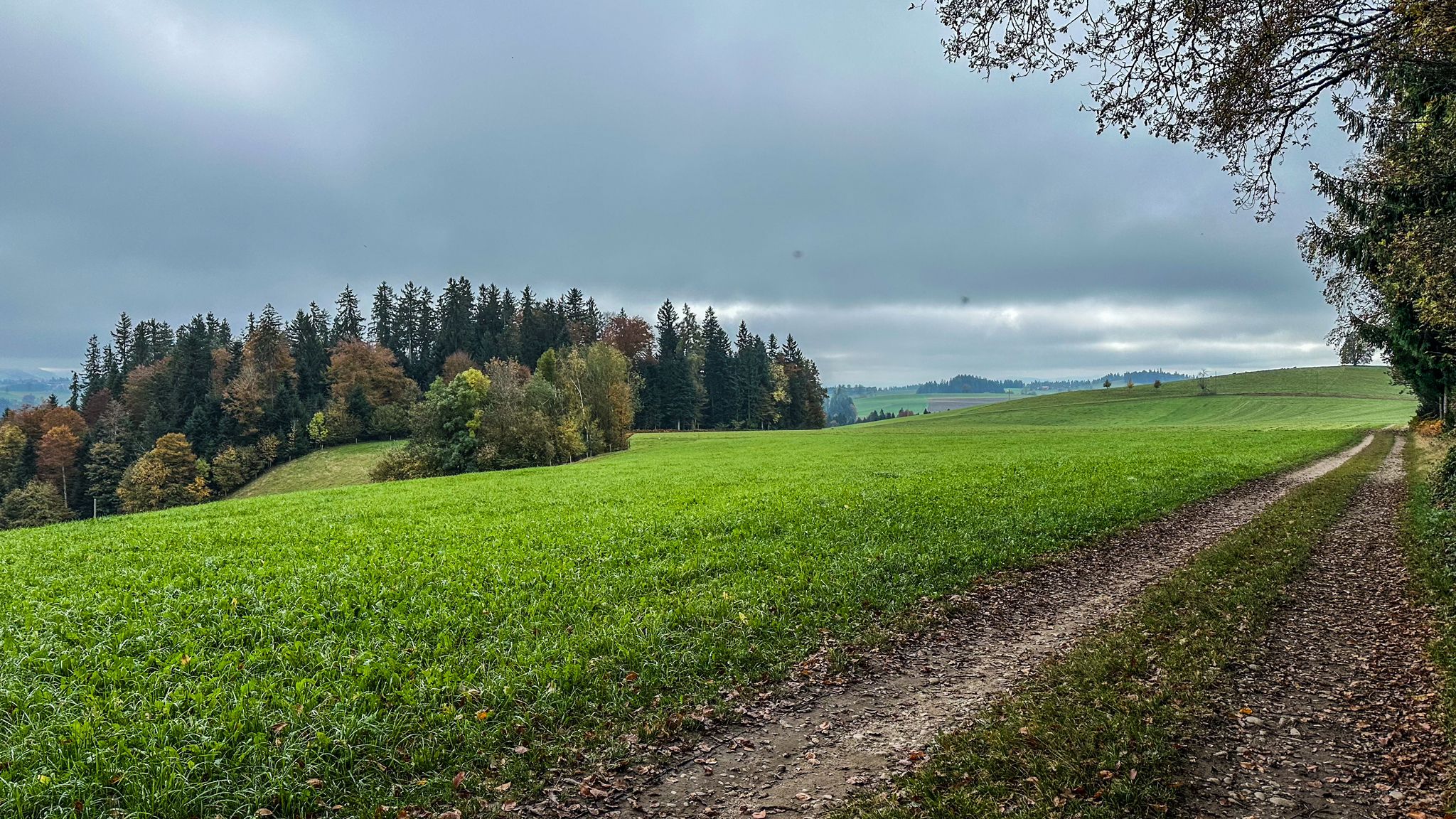 ...netter S0 Trail...