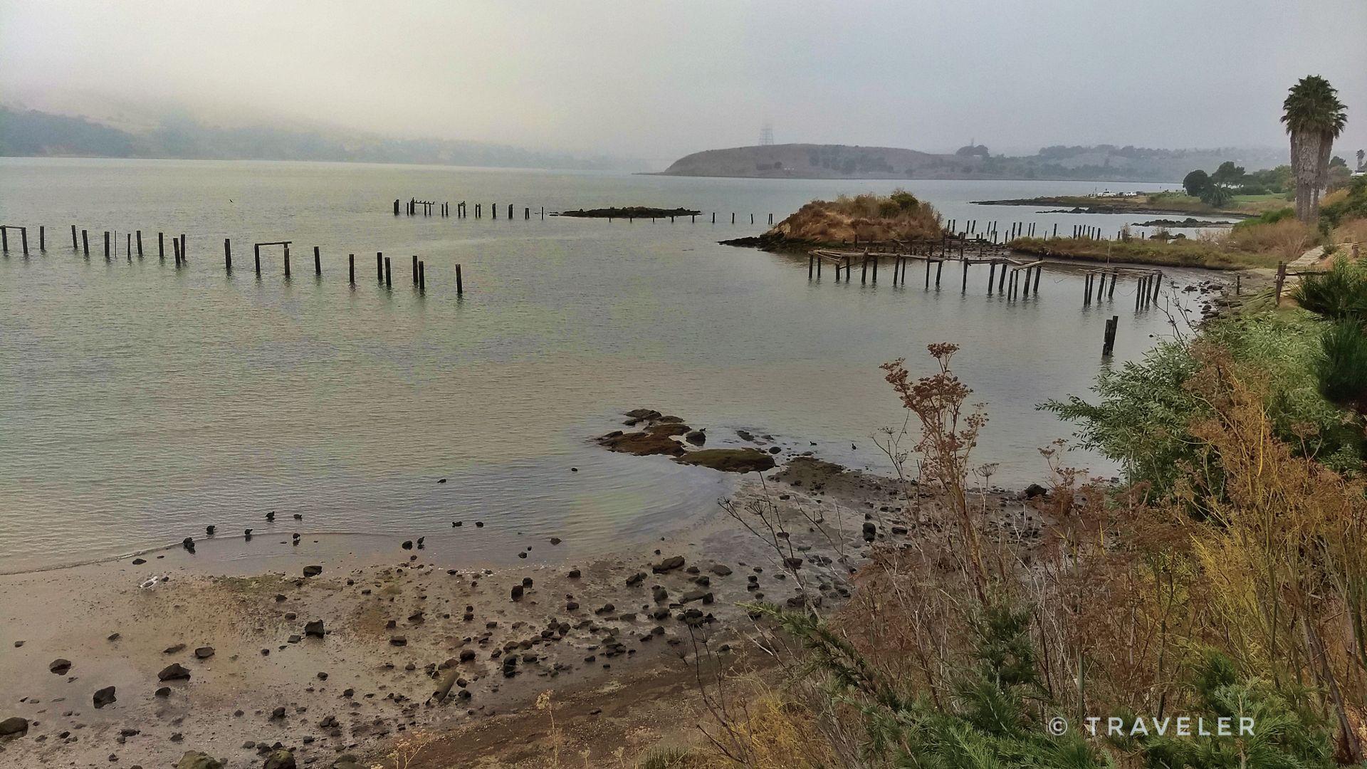 Overcast bay with old pilings, rocky shore, and distant hazy hills. - Bay Area Ridge Trail: Benicia Shoreline