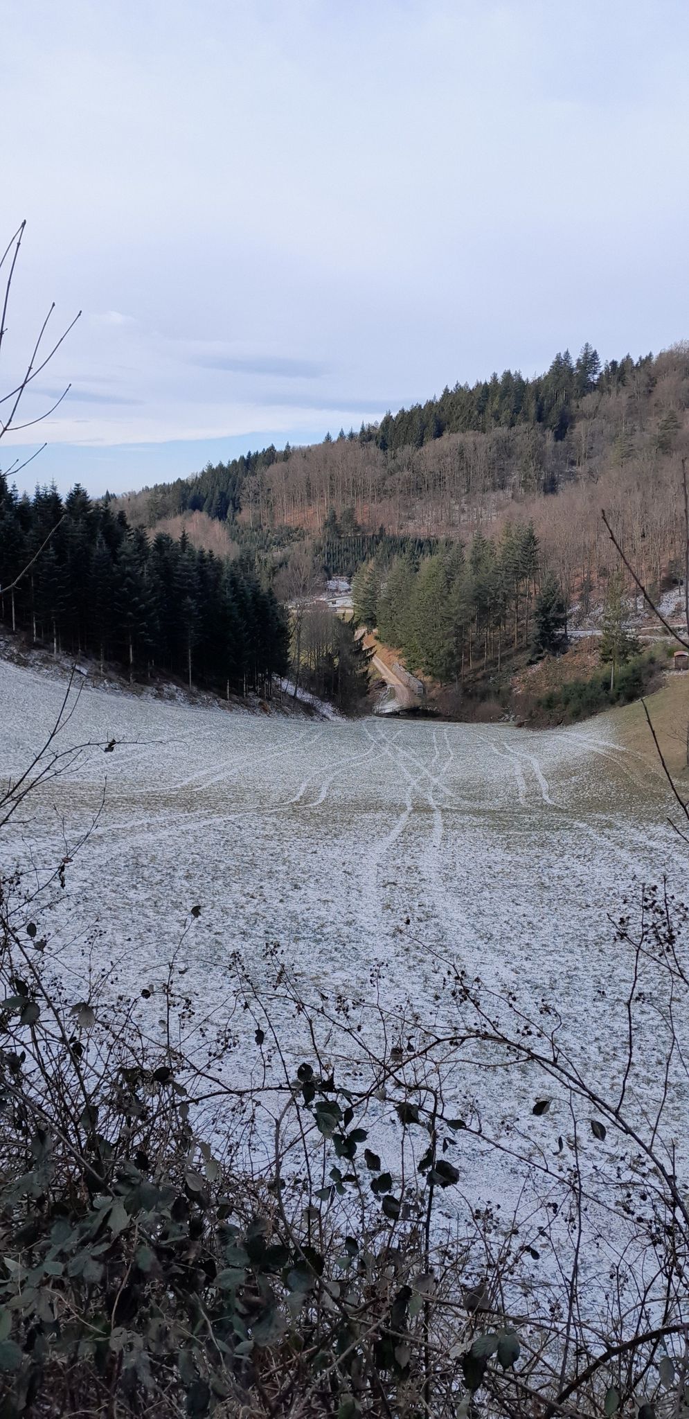 Blick Richtung Fiese Michel