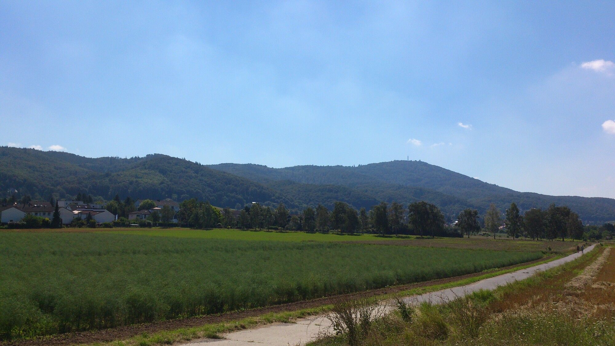 Blick auf den Melibokus