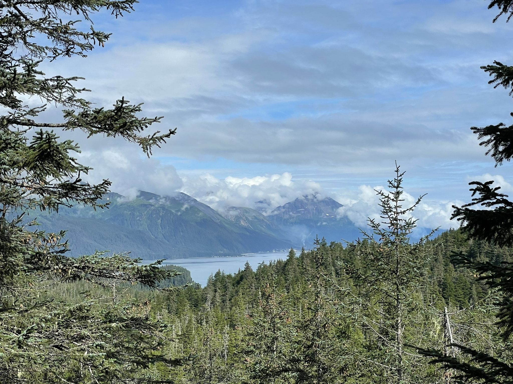 Cloudy mountain landscape with a bay and dense green forest in foreground. - Caines Head Loop Trail