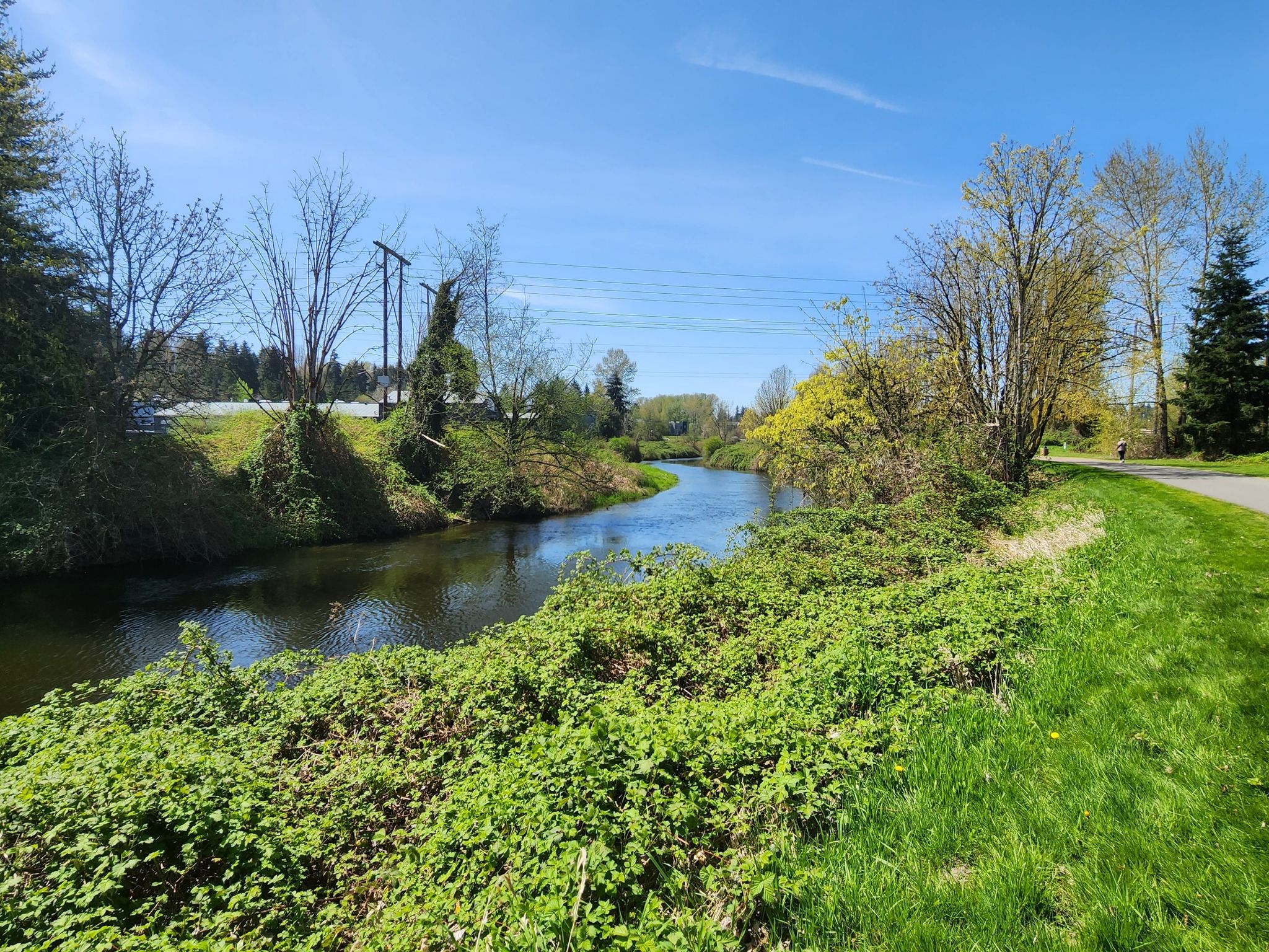 Sunny day, river flows past lush green banks and a paved path. - Kenmore - Snohomish Loop