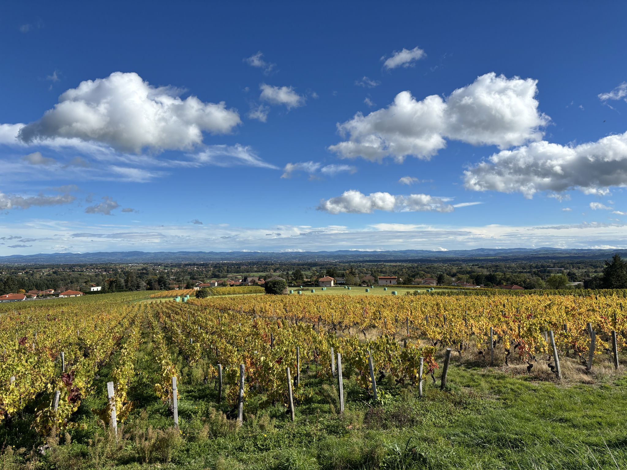 La plaine roannaise