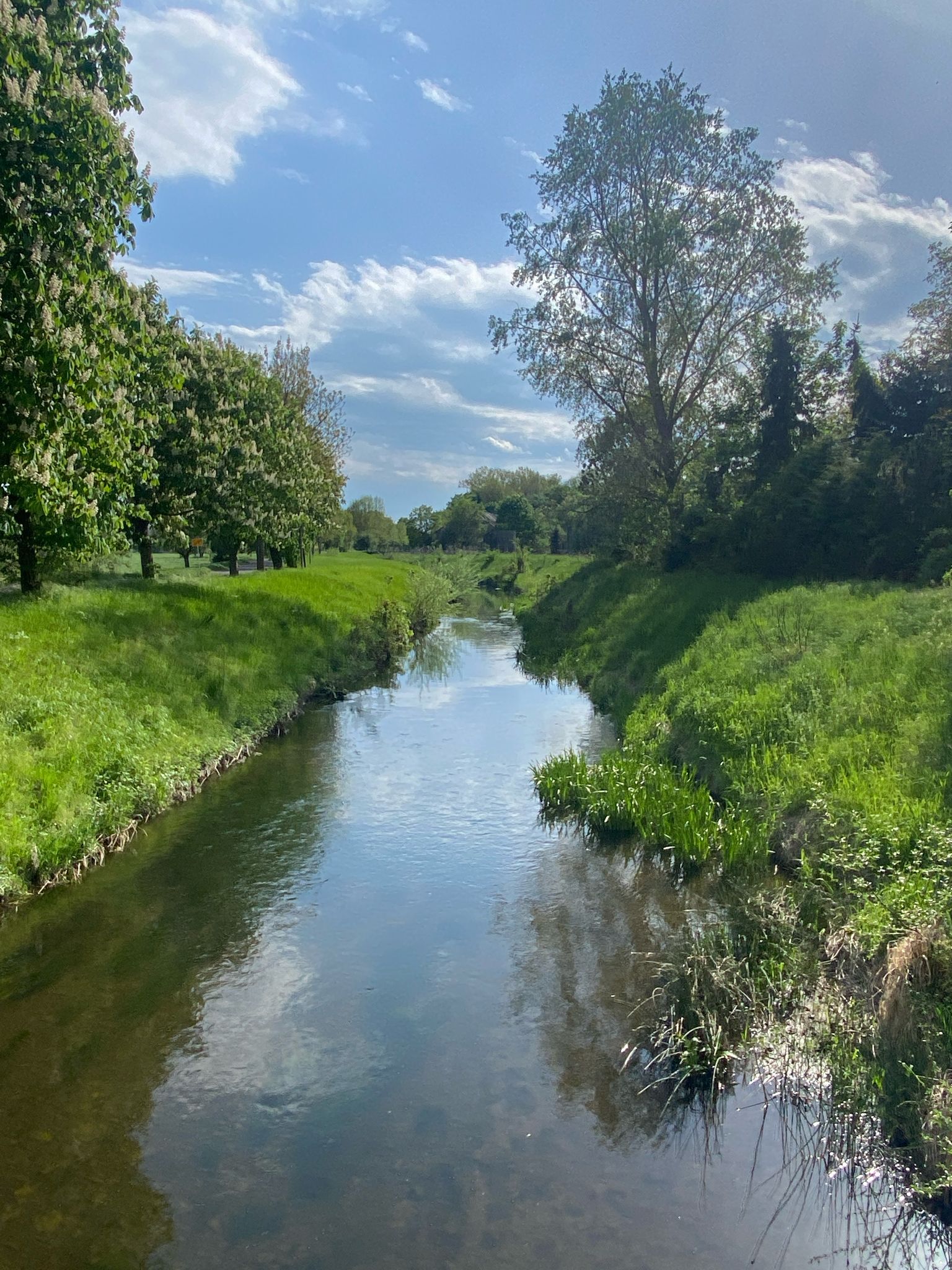 Holtemme in Nienhagen