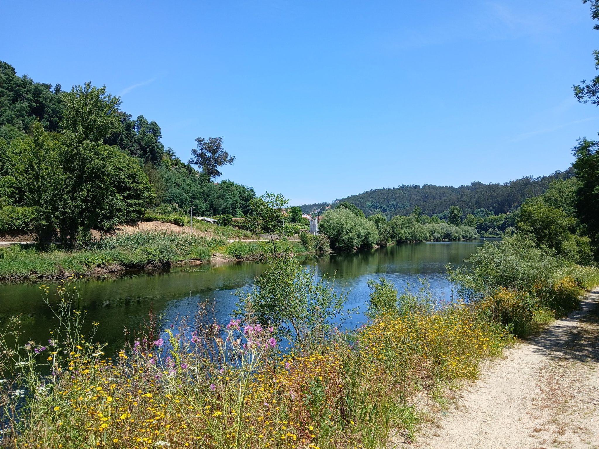 Rio Mondego