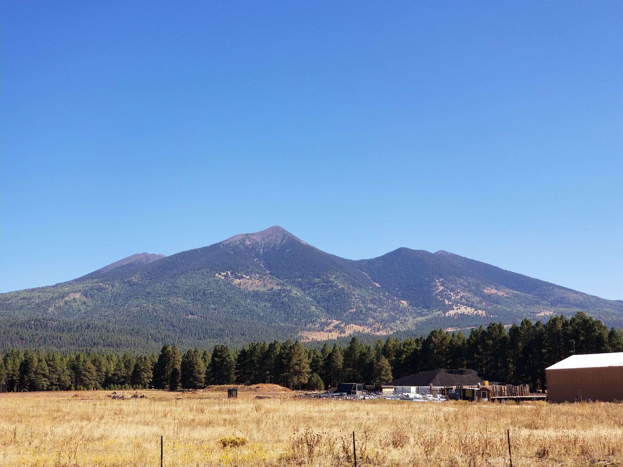 Majestic multi-peaked mountain covered in trees, overlooking a dry grassy field and buildings. - Karen Cooper Trailhead – Downtown Flagstaff loop from Flagstaff