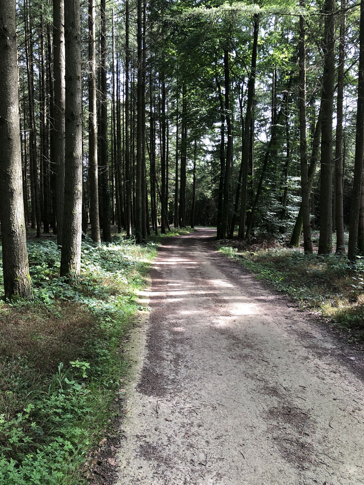Bridel nach Beggen / Fahrradweg
