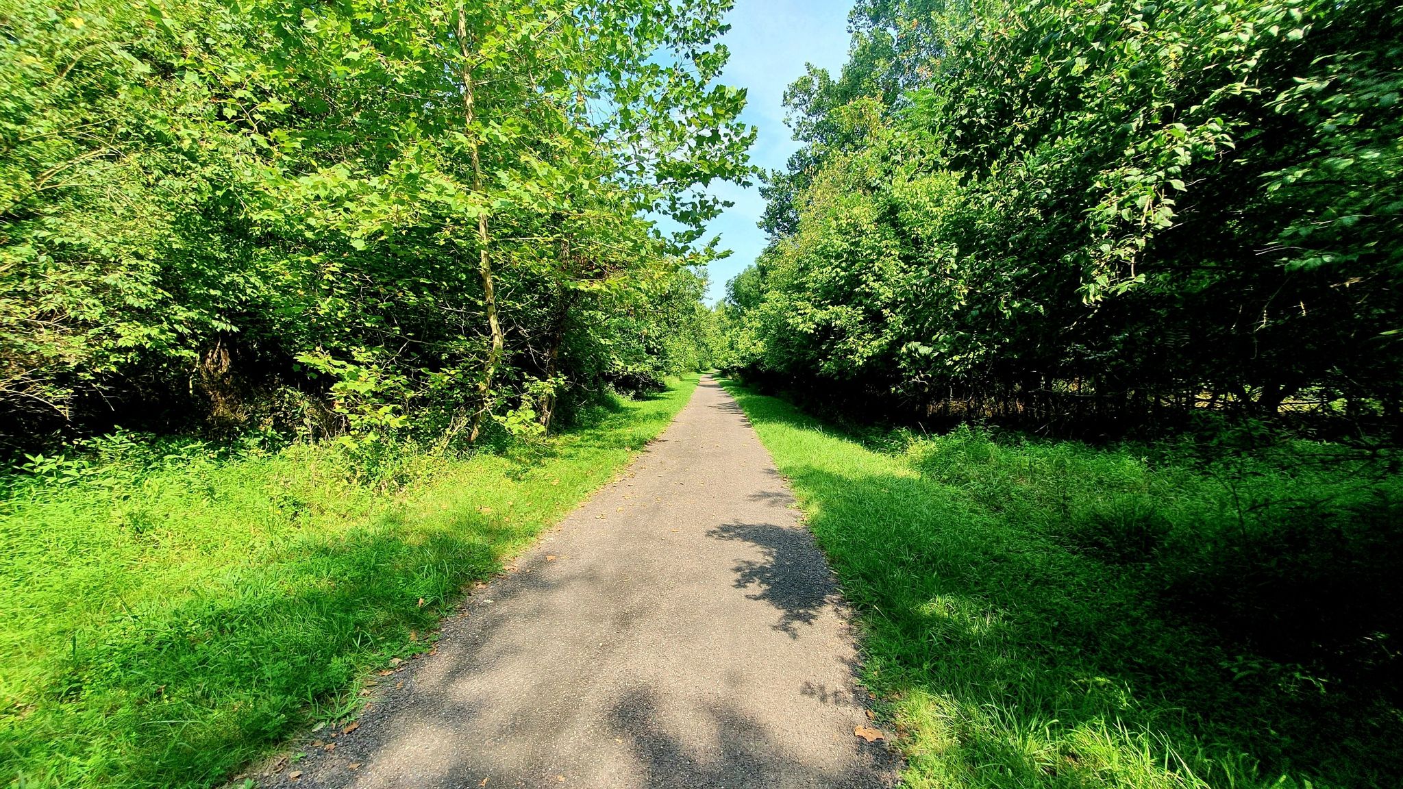 Shaded dirt path through dense green forest with dappled sunlight. - Route 66 State Park Outer Loop Trail