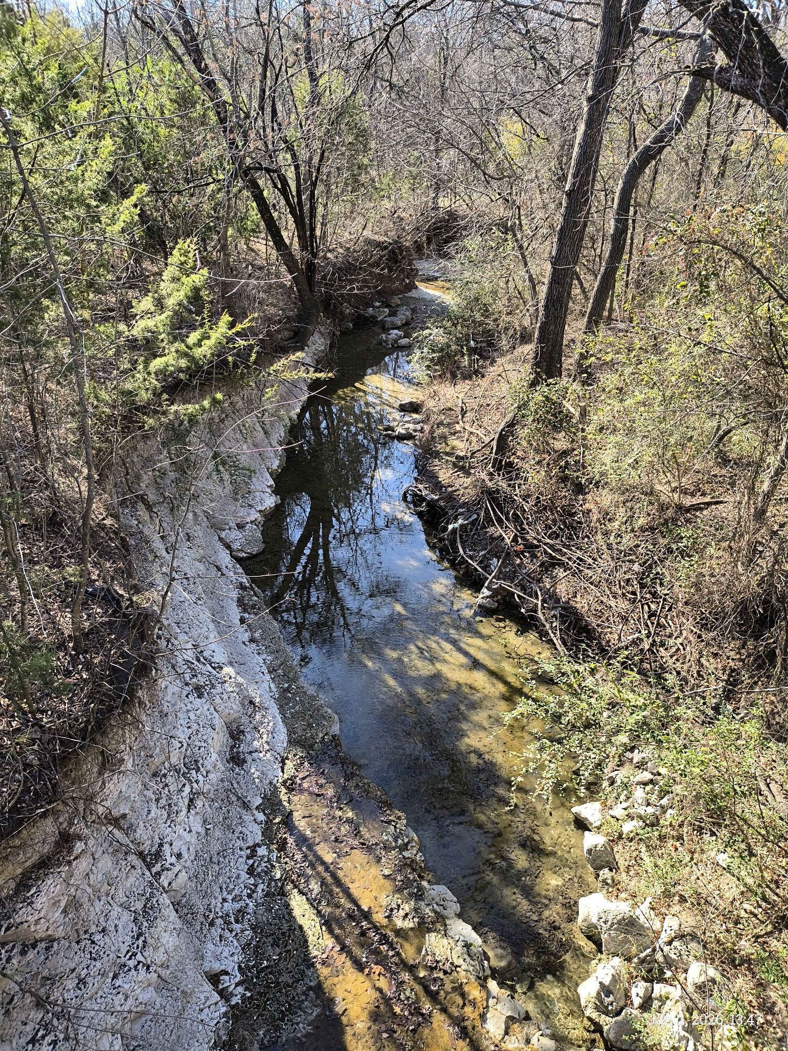 Clear stream flowing over rocks through a sunny, wooded area with rocky banks. - Watters Branch Creek Loop Trail