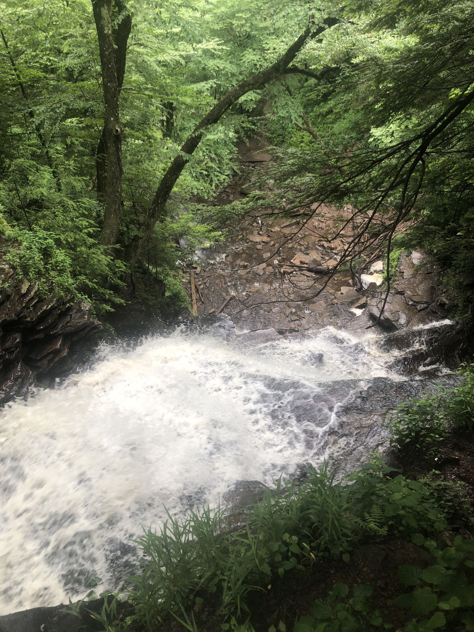Overhead view of a powerful waterfall crashing into a rocky gorge. - Ganoga View Trail