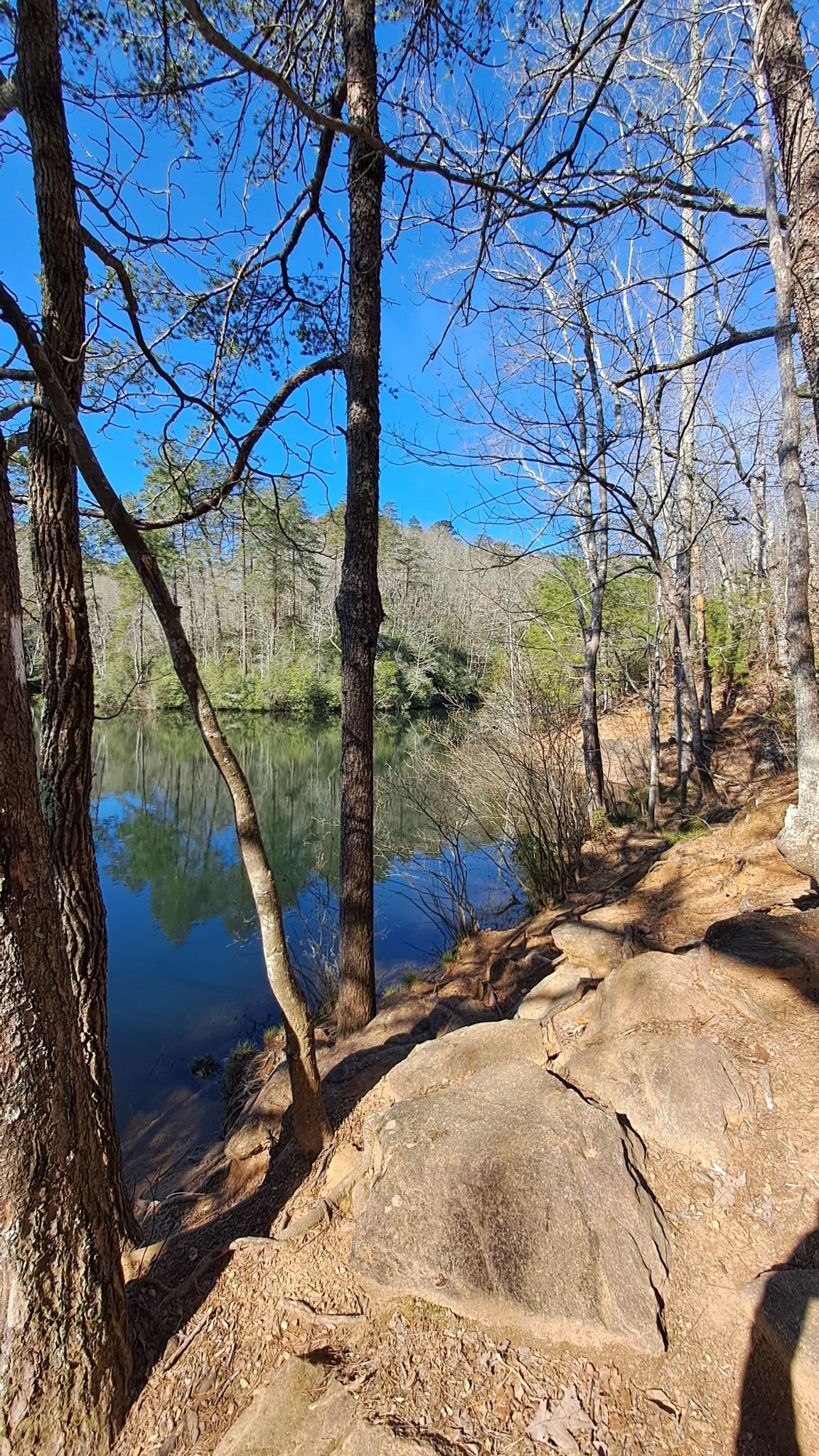 A rocky path alongside a calm lake, framed by tall trees and blue sky. - Sulphur Springs Trail