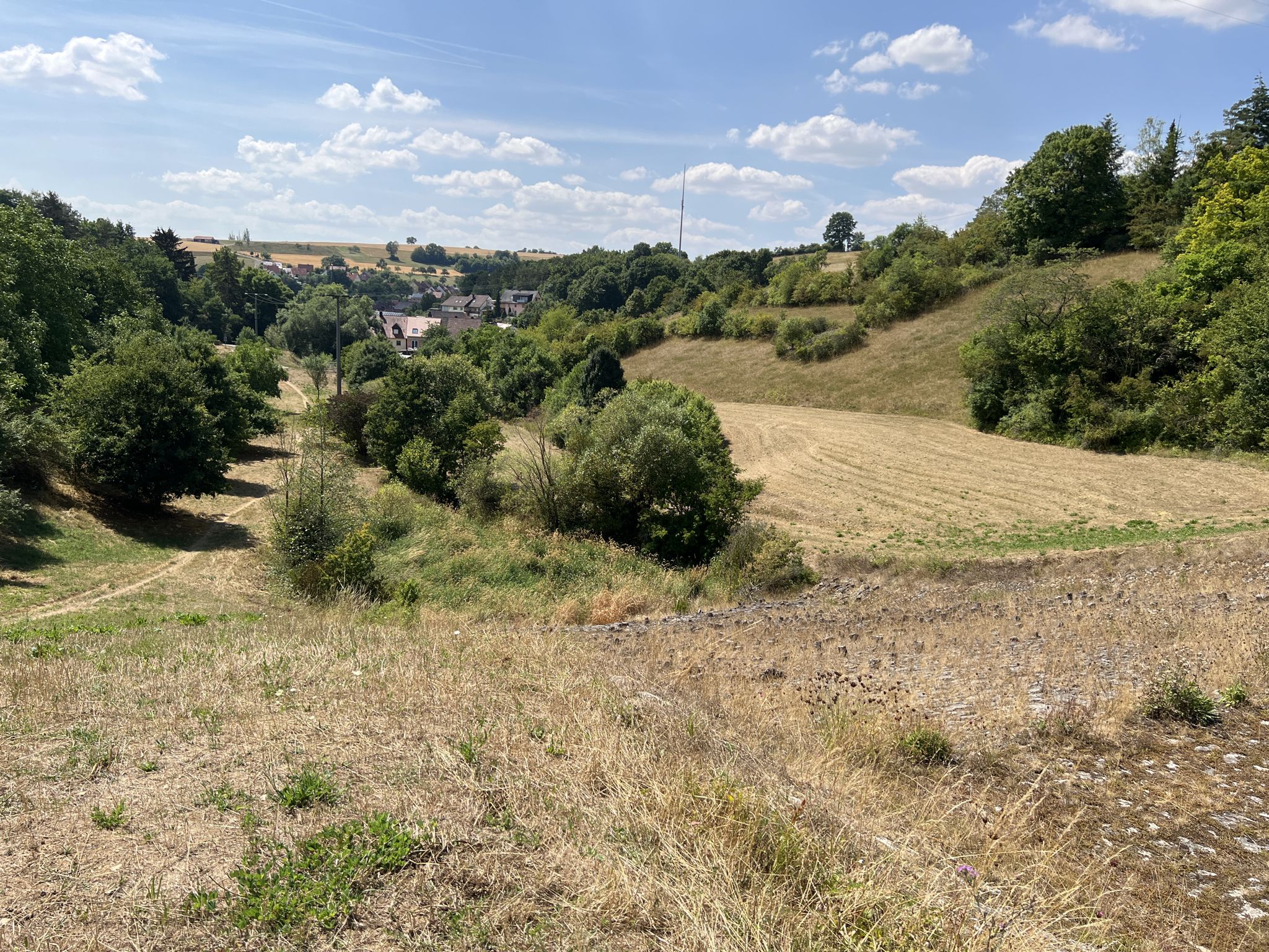 Blick vom Hochwasserdamm nach Hausen