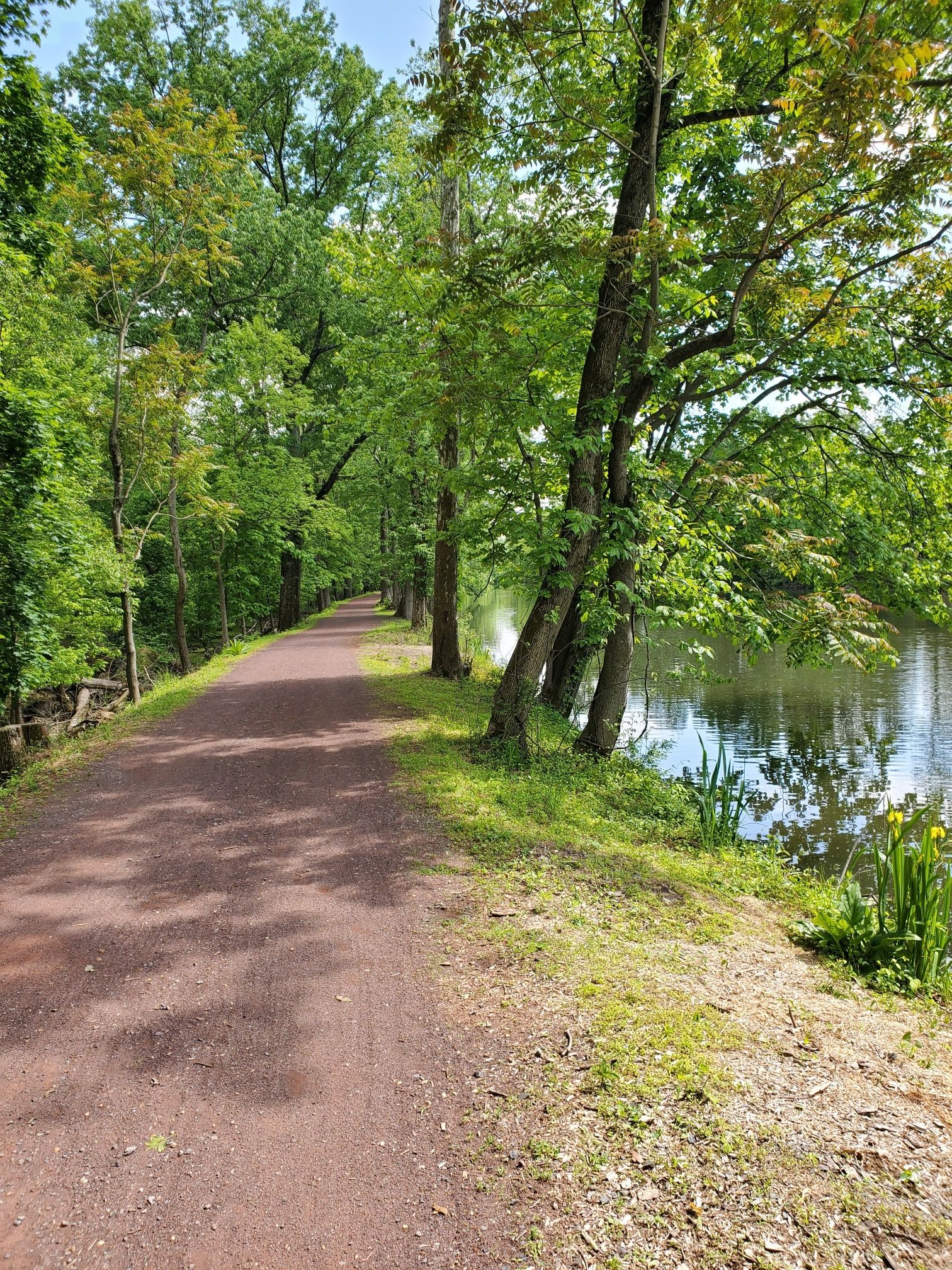 A dirt path runs alongside a calm canal lined with lush green trees. - Old East Jersey – Raritan Canal Towpath loop from Franklin High School