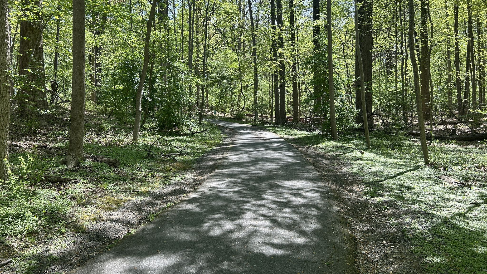 A shaded paved path winds through a sun-dappled, green forest. - Rock Creek loop from Aspen Hill