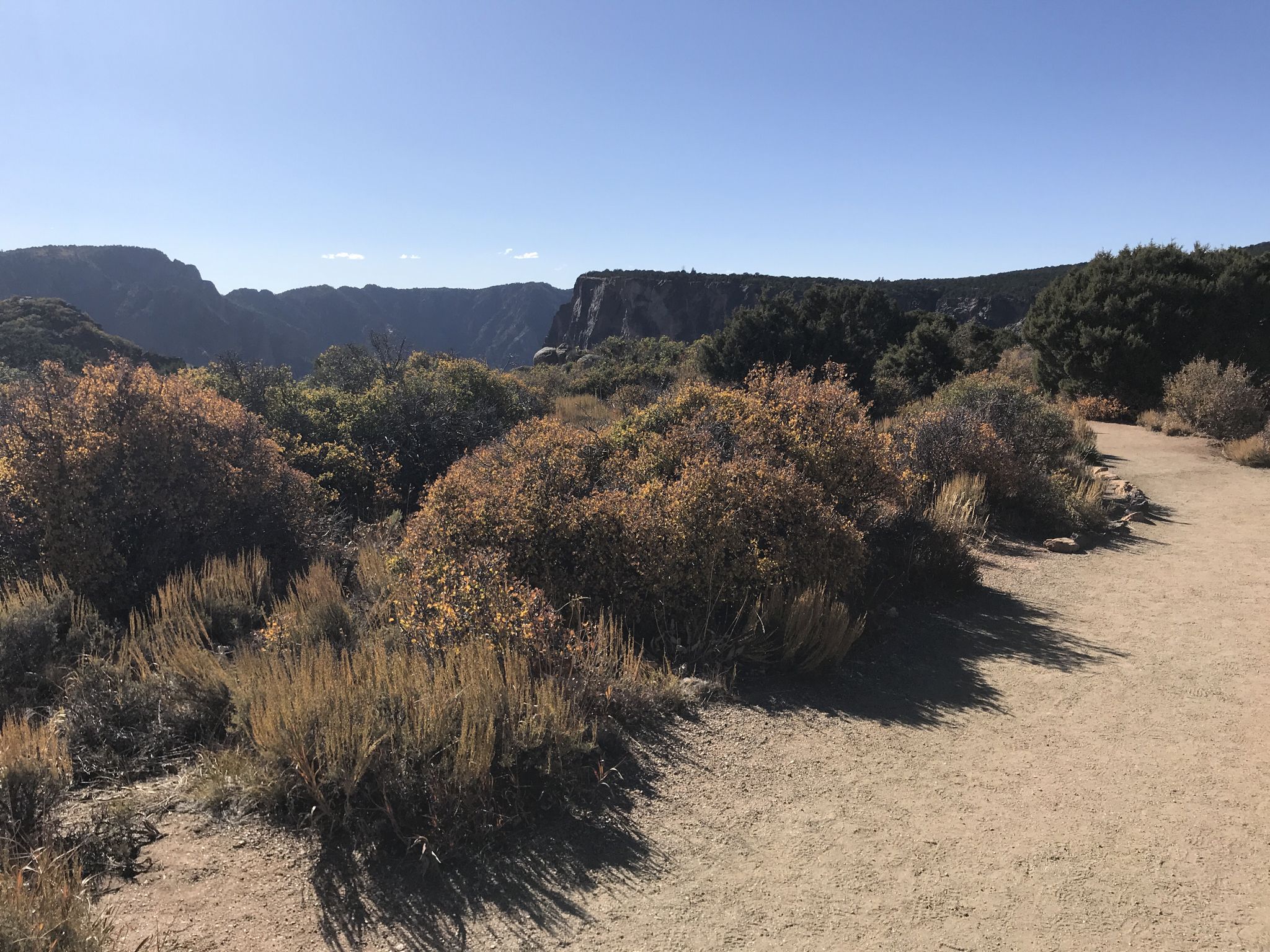 Sunny desert landscape with shrubs, a dirt path, and distant canyon walls. - Painted Wall View Trail