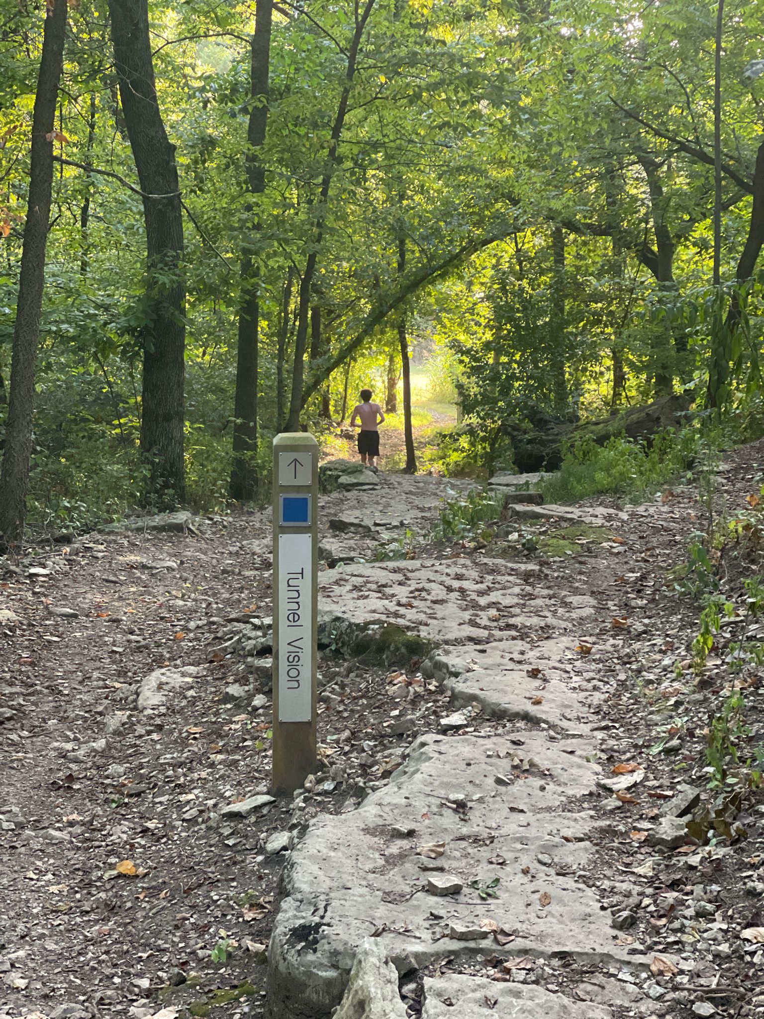 A person running on a rocky trail through a bright, green forest. - Tunnel Vision and Bamboozled Loop