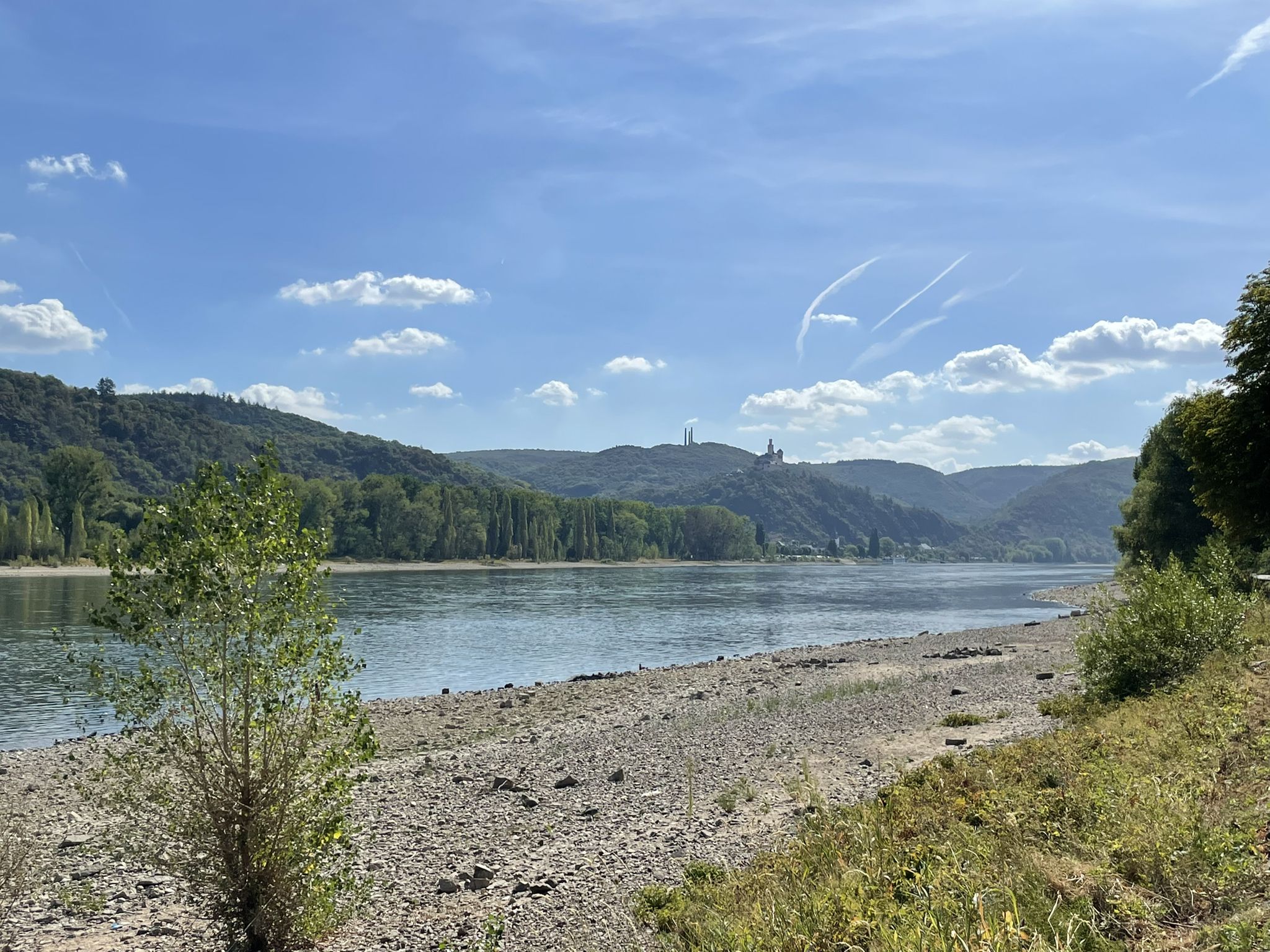 Rheinufer zwischen Rhens und Brey