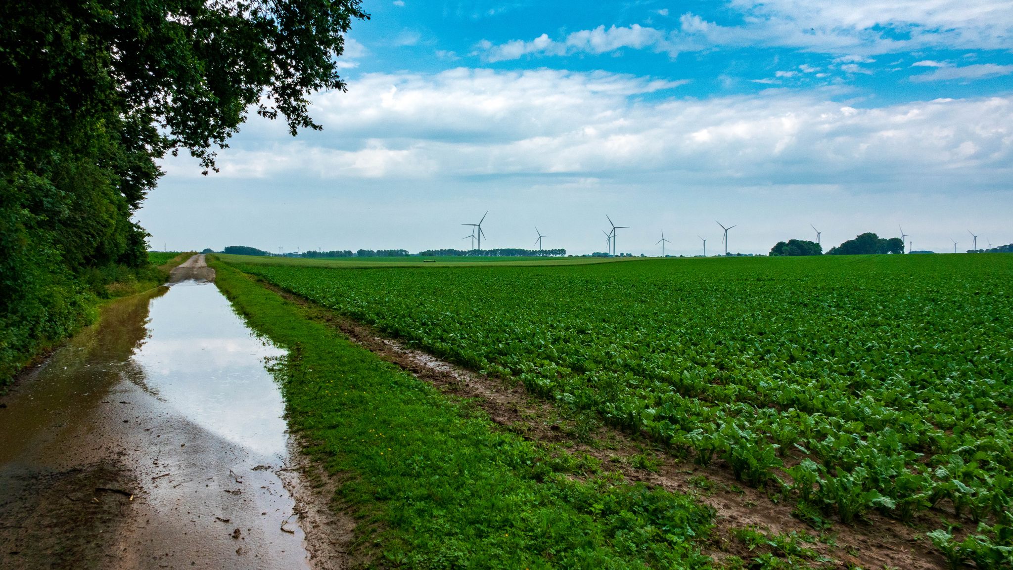 Rustig en kalm, erdoor moeten we