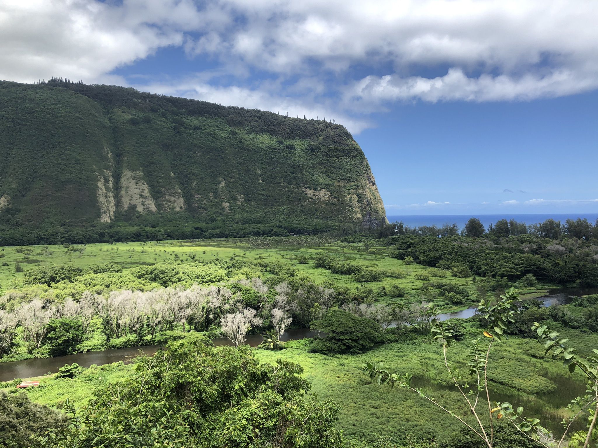 Lush green valley, river, and ocean with a large cliff under a partly cloudy sky. - Waipi'o Valley Road Trail
