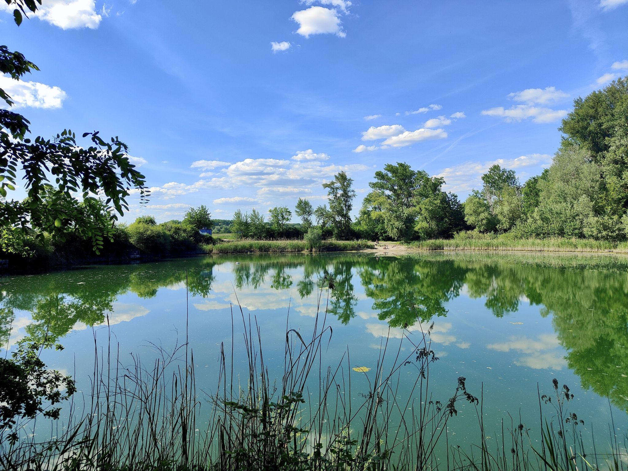 An einem See im Naturschutzgebiet Mechtersheim