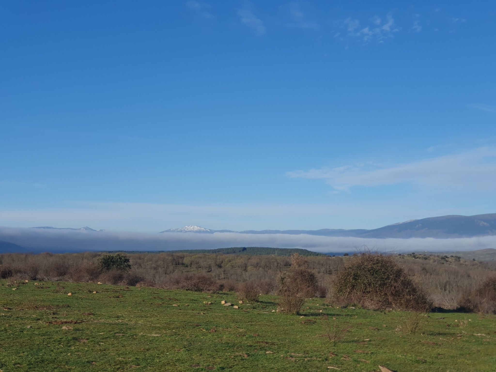 Mirador