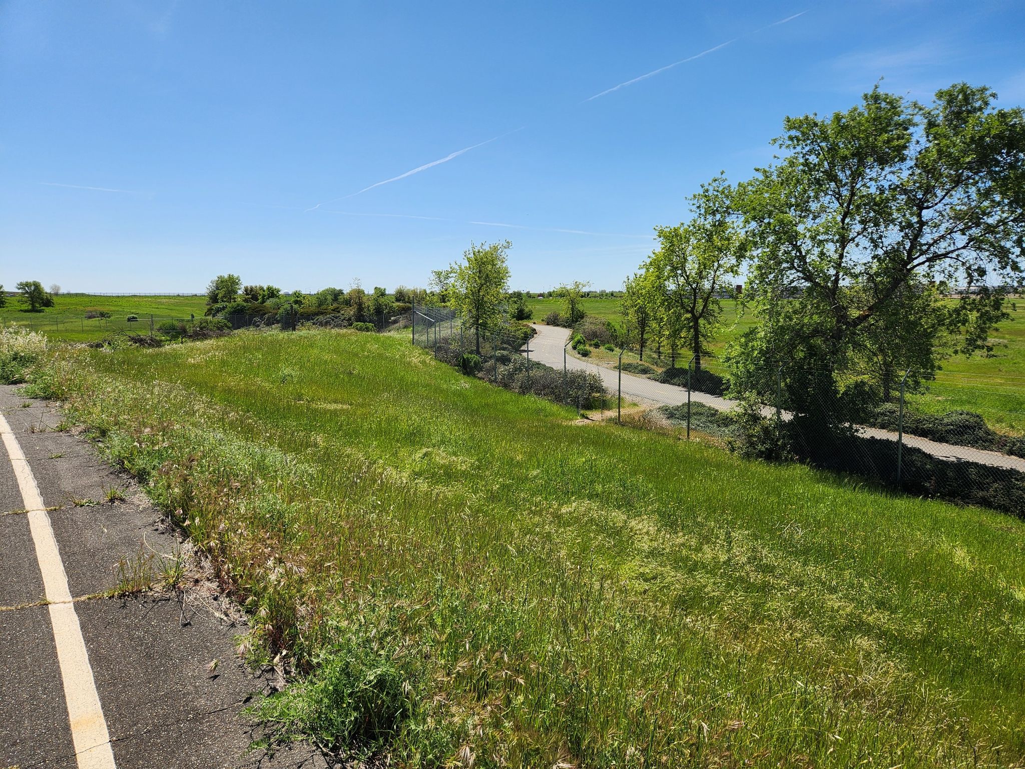Green grassy field slopes down to a paved path with trees under a clear sky. - Folsom South Canal Trail – Folsom South Canal Trail loop from Jackson Road Park And Ride