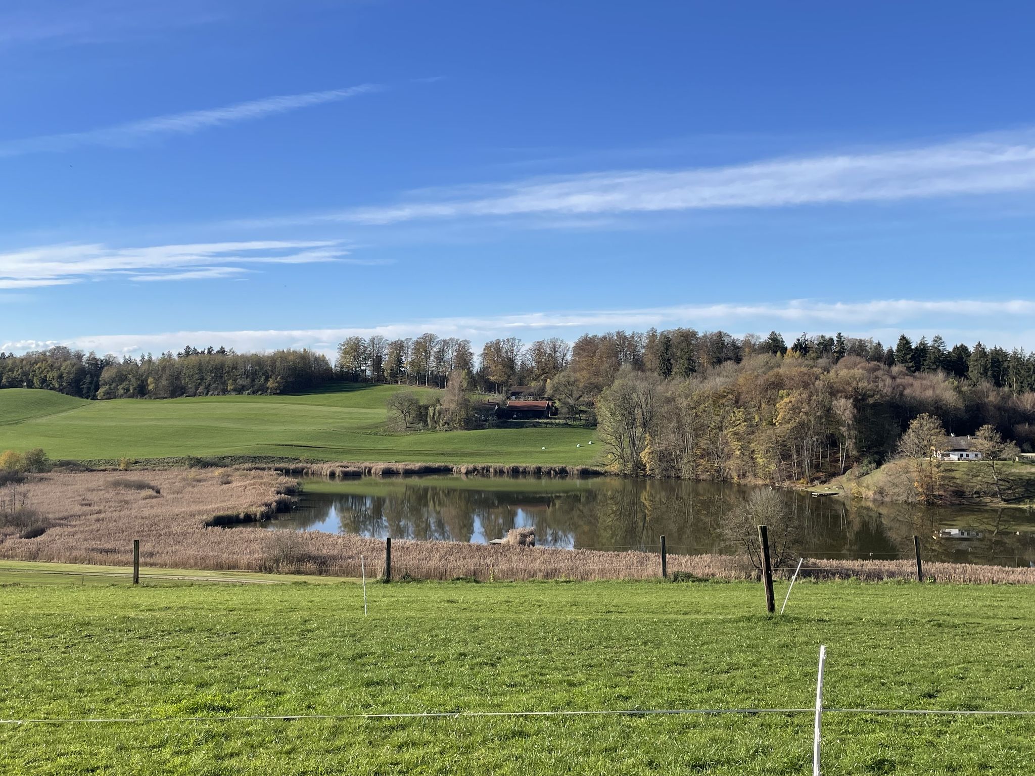 Blick von Berg auf den Berger See