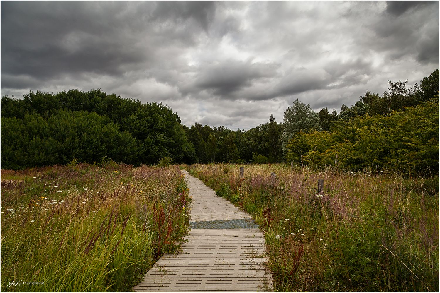 der Weg durch die Blühwiesen