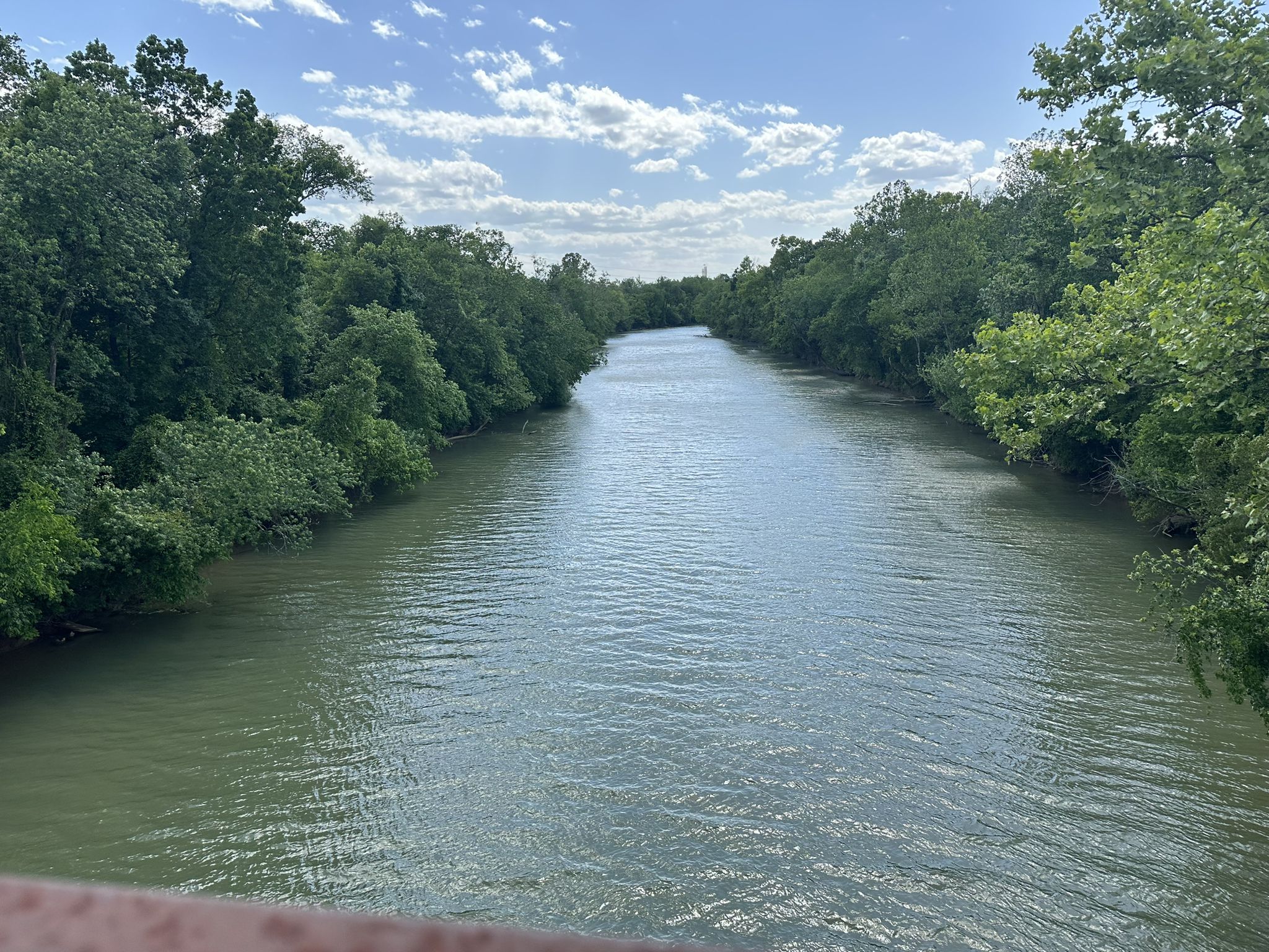 A wide river flows between dense green trees under a bright, cloudy sky. - South Chickamauga Creek Greenway