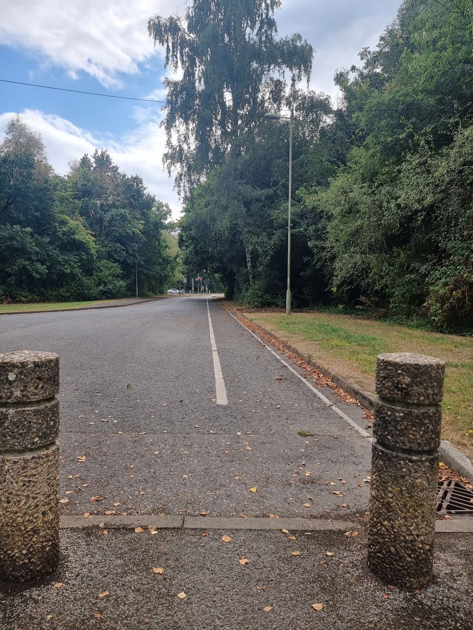 Raglan Close