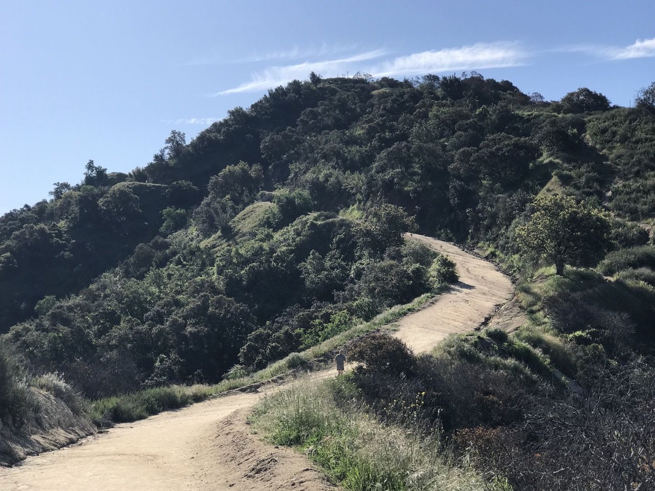 A person walks on a winding dirt path up a green, sunny hill. - Cherry Canyon Park and Lookout Tower