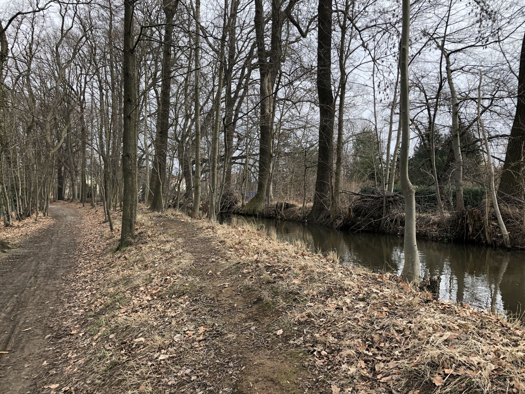 Geschwister-Scholl-Weg / Ruhlander Schwarzwasser