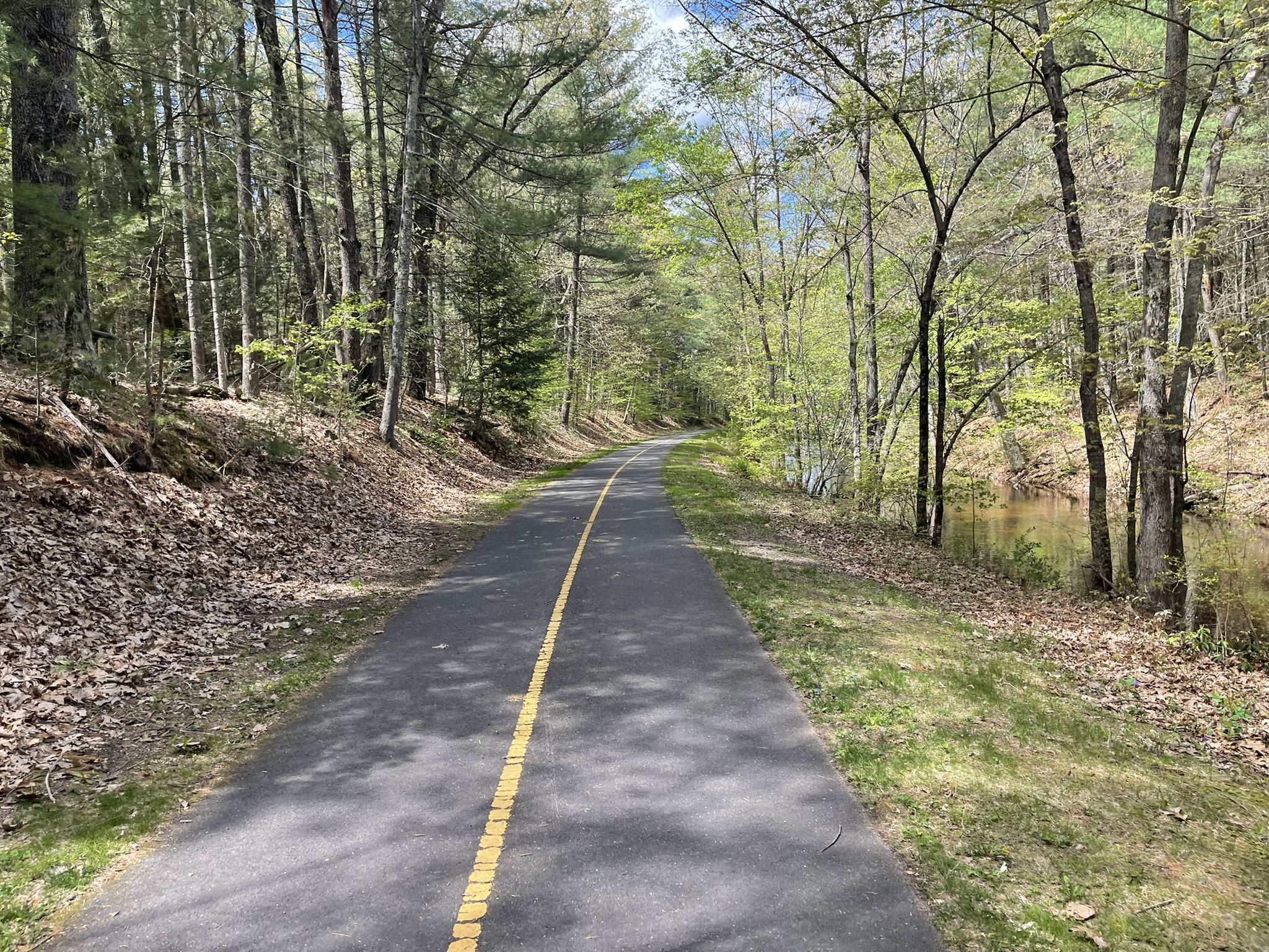 Paved path with yellow line, surrounded by green trees and a stream. - Southwick Rail Trail