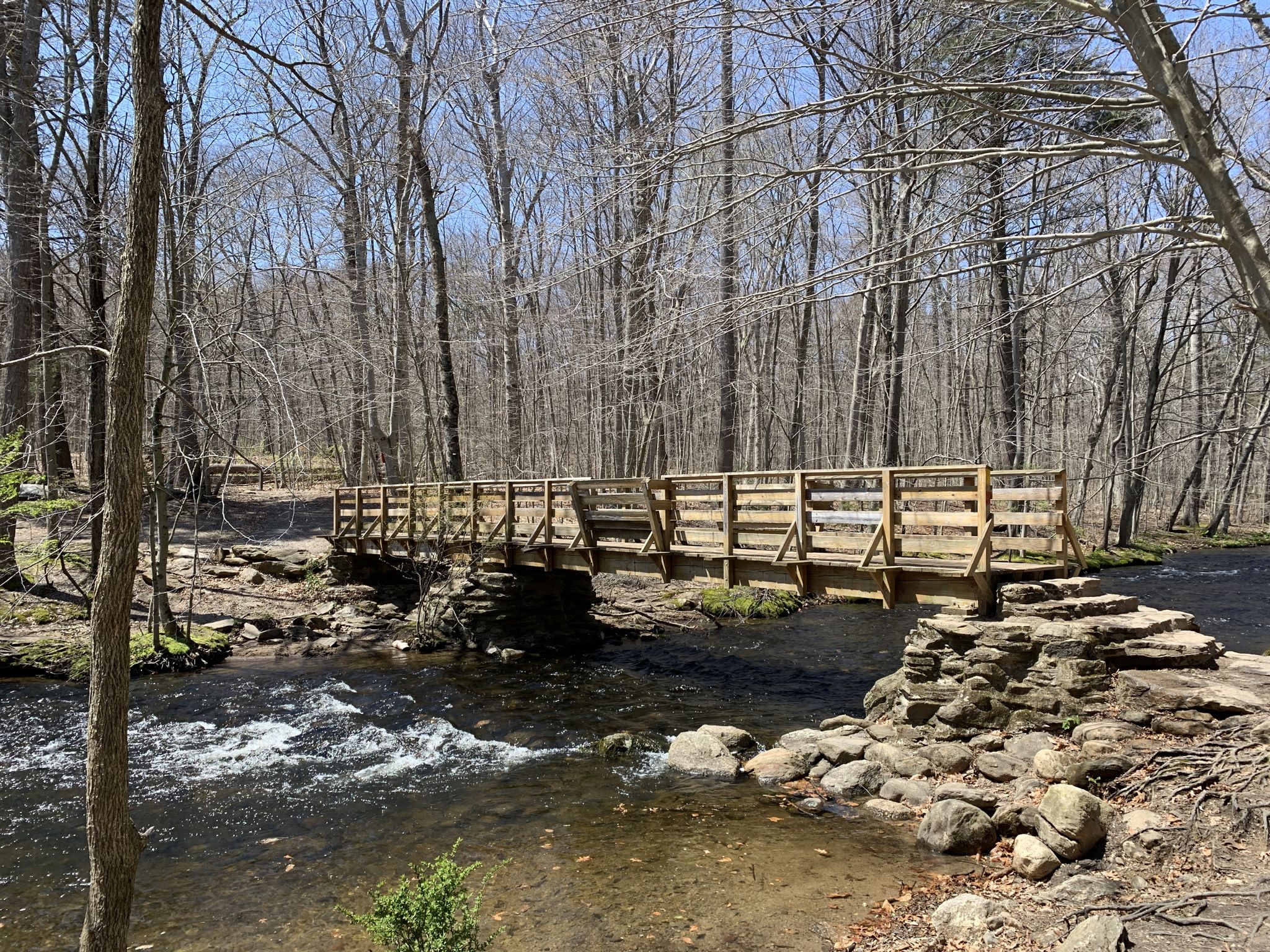 Wooden bridge crosses a rocky stream in a sunlit, bare forest. - Lake Mohegan Recreation Area – Lake Mohegan loop from Samp Mortar Rock