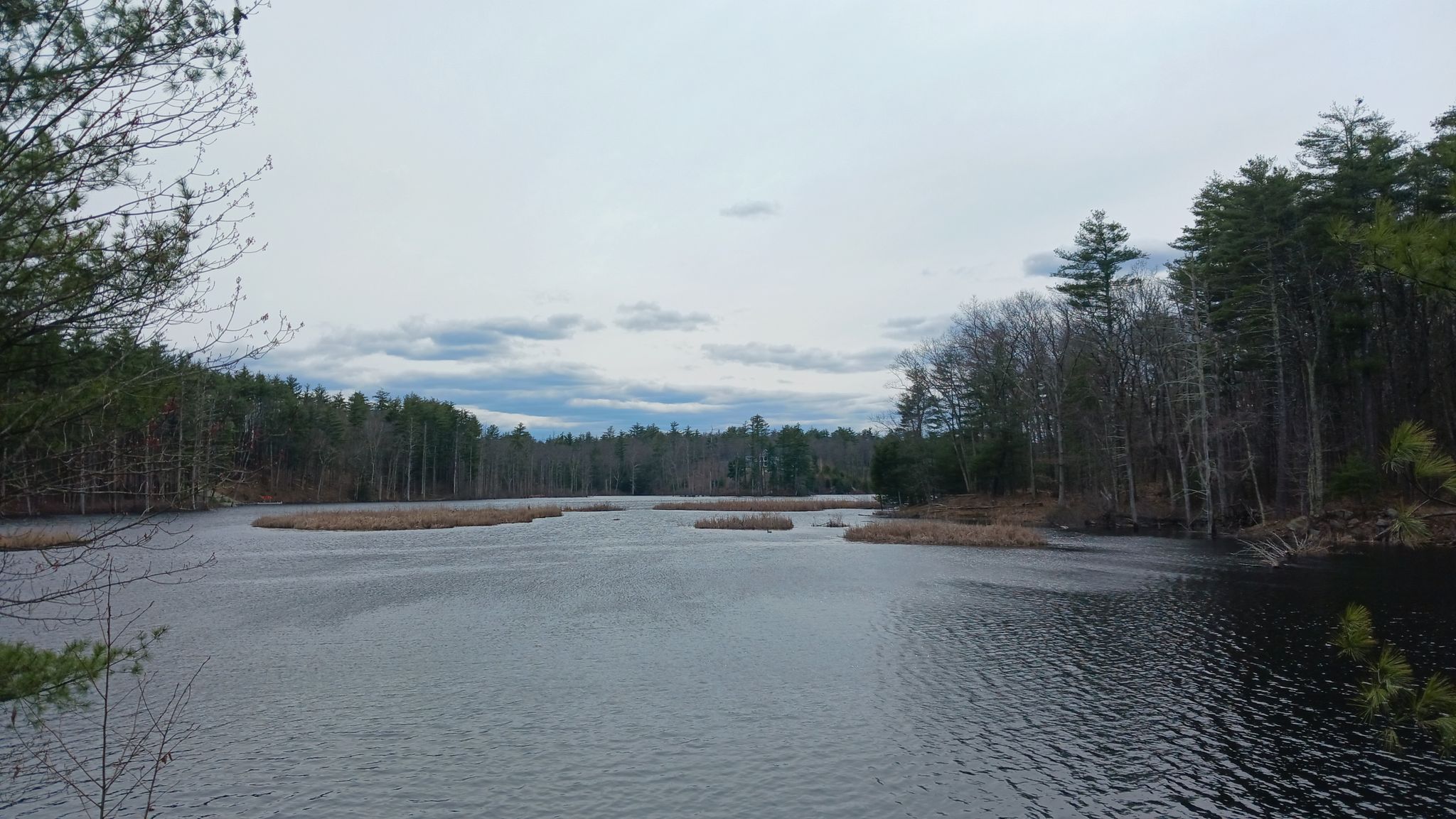 Dark lake with reed islands, surrounded by dense forest under an overcast sky. - Derry, Windham & Salem Rail Trail